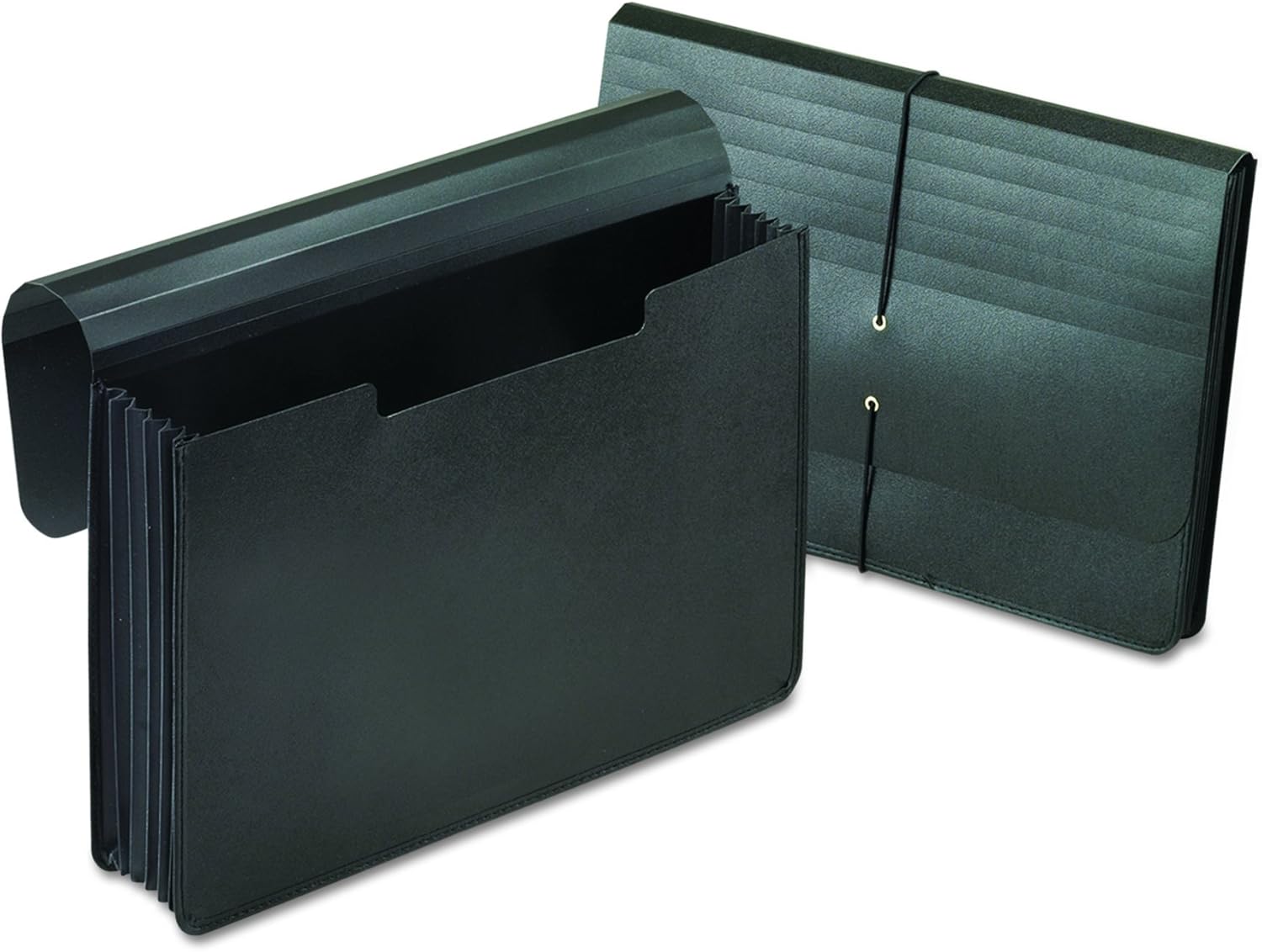 Pendaflex Poly Expanding Portfolio With Cord, 51/4"/1000