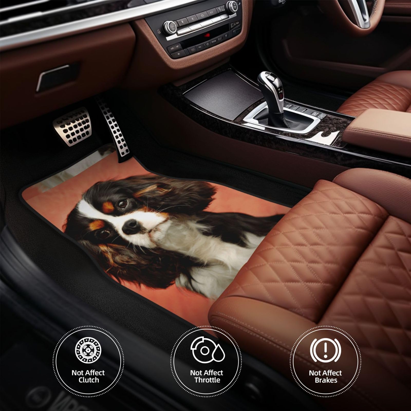 Shih Tzu Welpen mit Langen Ohren – Design, 4er-Set Auto-Fußmatten, Neopren-Fußmatten für Fahrzeuge, rutschfeste Auto-Fußmatten, Autozubehör