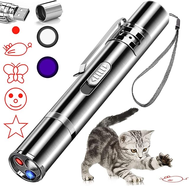 Cat Dog Red Pointer Light Toy, Indoor and Outdoor Pet Interactive Chaser Toys,Tease Cat Animal Playing Training Toy Pen for Teaching USB Charging, Switchable Patterns