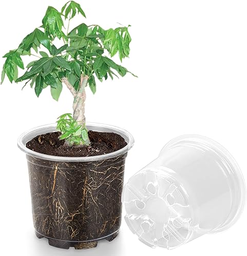 Paquete de 20 macetas transparentes de 7 pulgadas para plantas, macetas transparentes con agujeros de drenaje, macetas de plástico flexible para