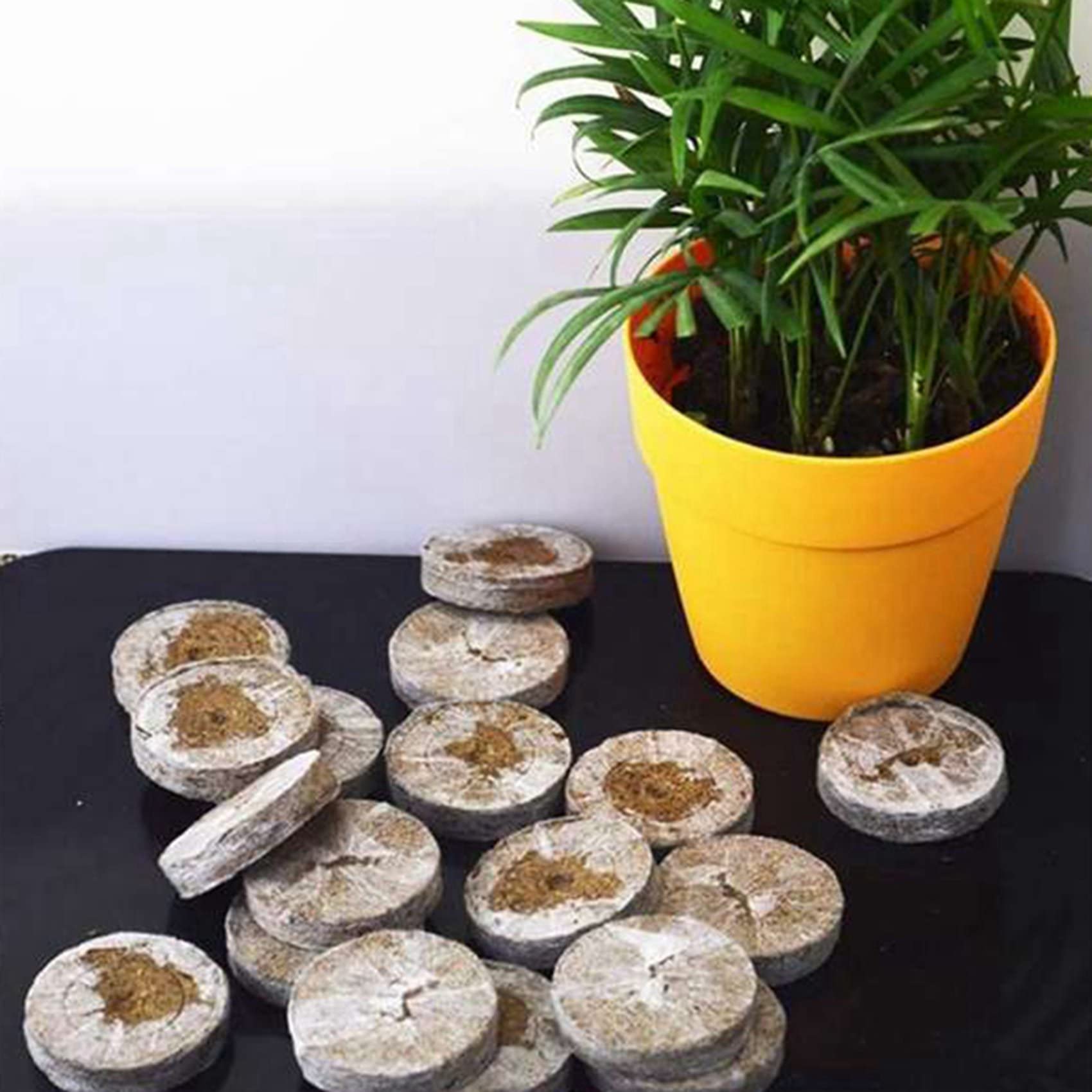 300 Stück Professionelle Torf Pellets Pflanze Start Boden Block Sämling Plugs Umwelt Garten Schule