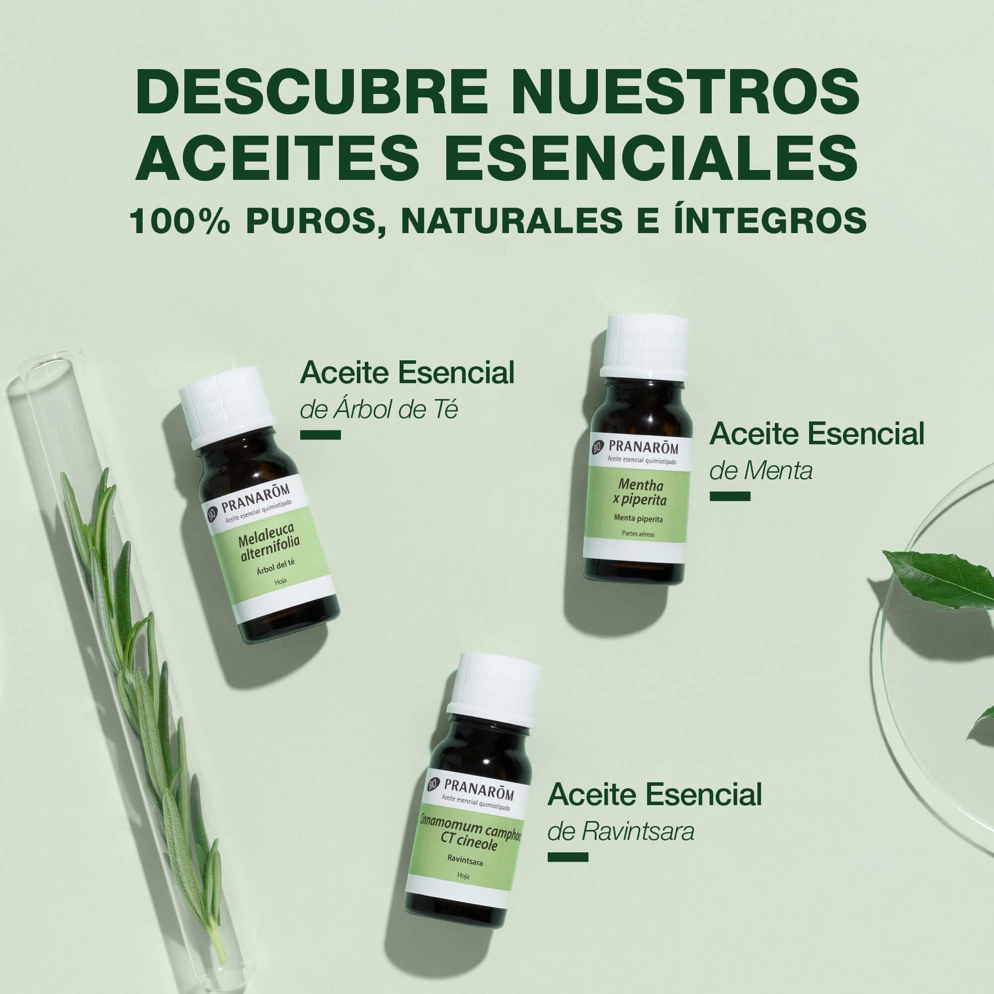 PRANAROM - Lavanda Orgánica - Aceite Esencial Quimiotipado - Sueño y Estrés - 100% Puro y Natural - HECT - 10ml