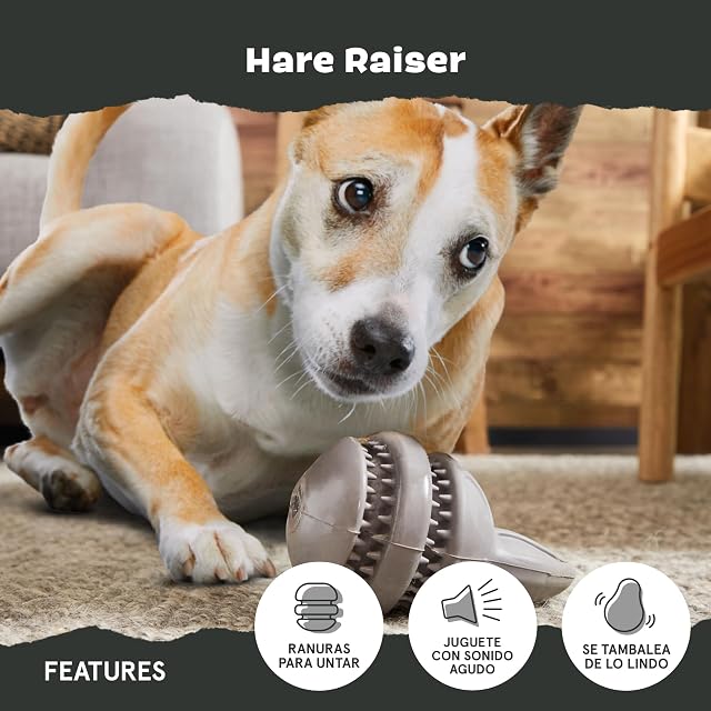Foto 5 de 8 de Barkbox Bark Collection Super Chewer Rubber Rabbit Dog Toy - Hare Raiser