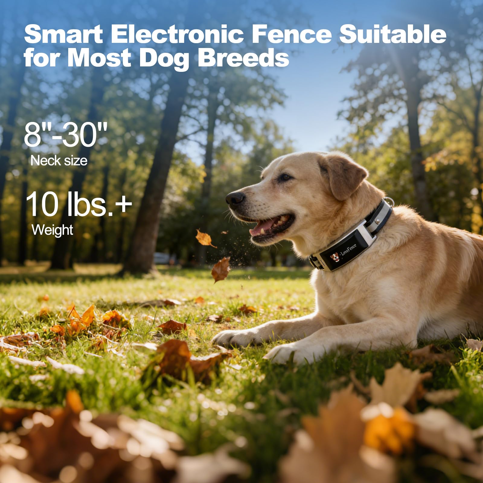 GPS Electric Dog Fence, Wireless Dog Fence, Subscription-Based System, Portable Fence for Outdoor Use, Rechargeable Waterproof Silicone Collar Adjustable for Dogs - image 7