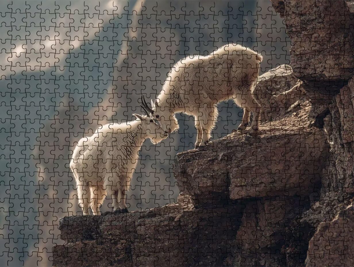 Puzzle 6000 Pezzi, Capra Bianca 3D Puzzle per Adulti Impegnativo, Educa Puzzles Artistico, Divertente E Stimolante Puzzles Decorativo per La Famiglia, Come Regalo e Decorazione Pareti R6KH-775