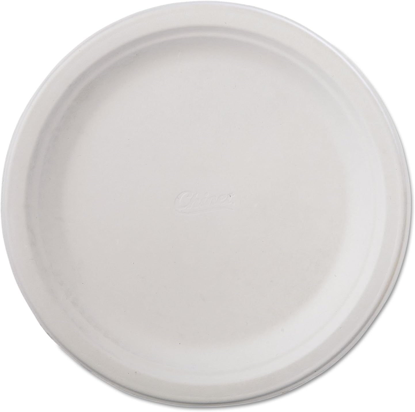 9.75" Round Classic Paper Plates in White Disposable Plates Dinner Plates