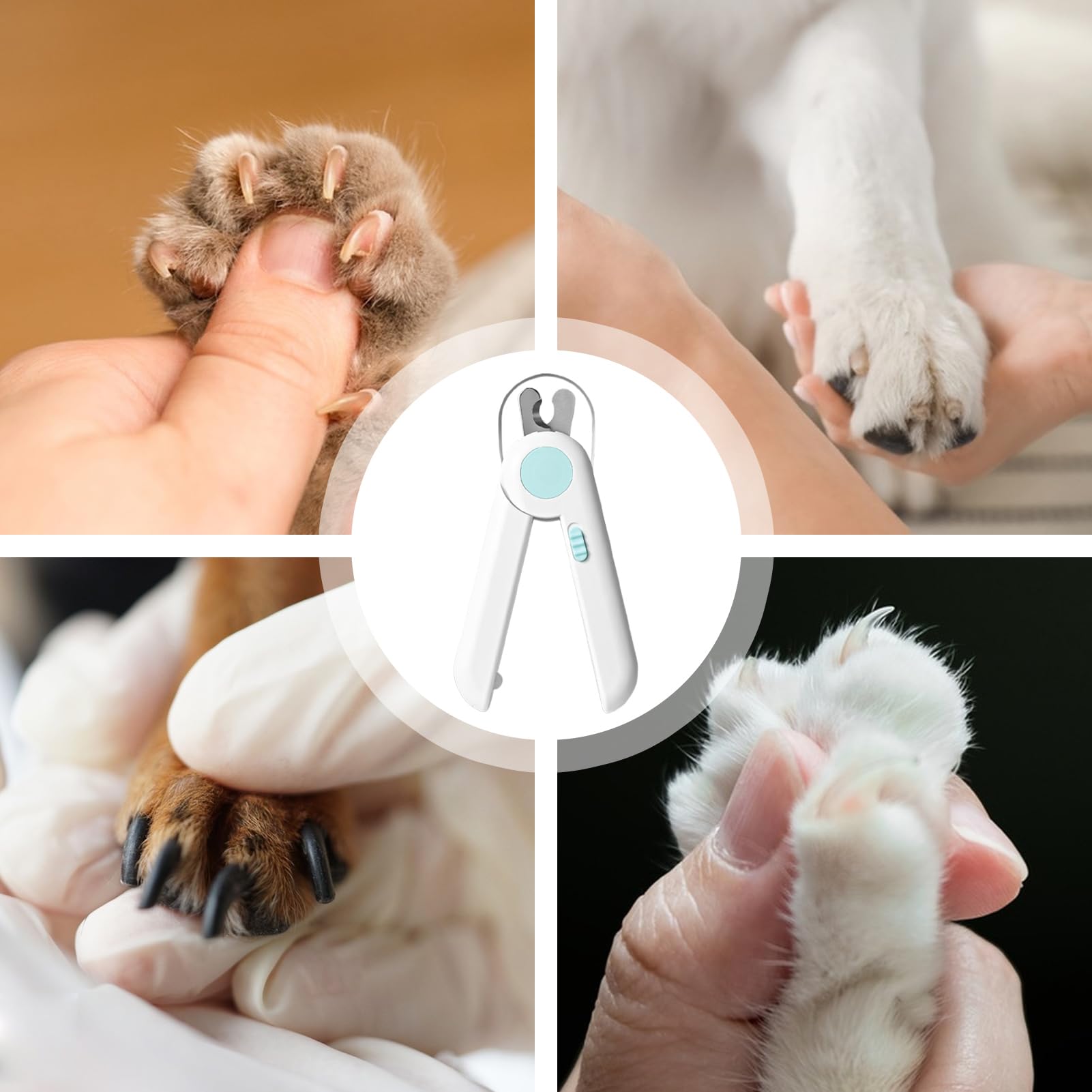 Nagelschere, Krallenknipser for Welpen mit Licht – glättendes Fellpflege-Werkzeug for kleine Tiere, Kaninchen, Vögel, Kätzchen, for den Heimgebrauch