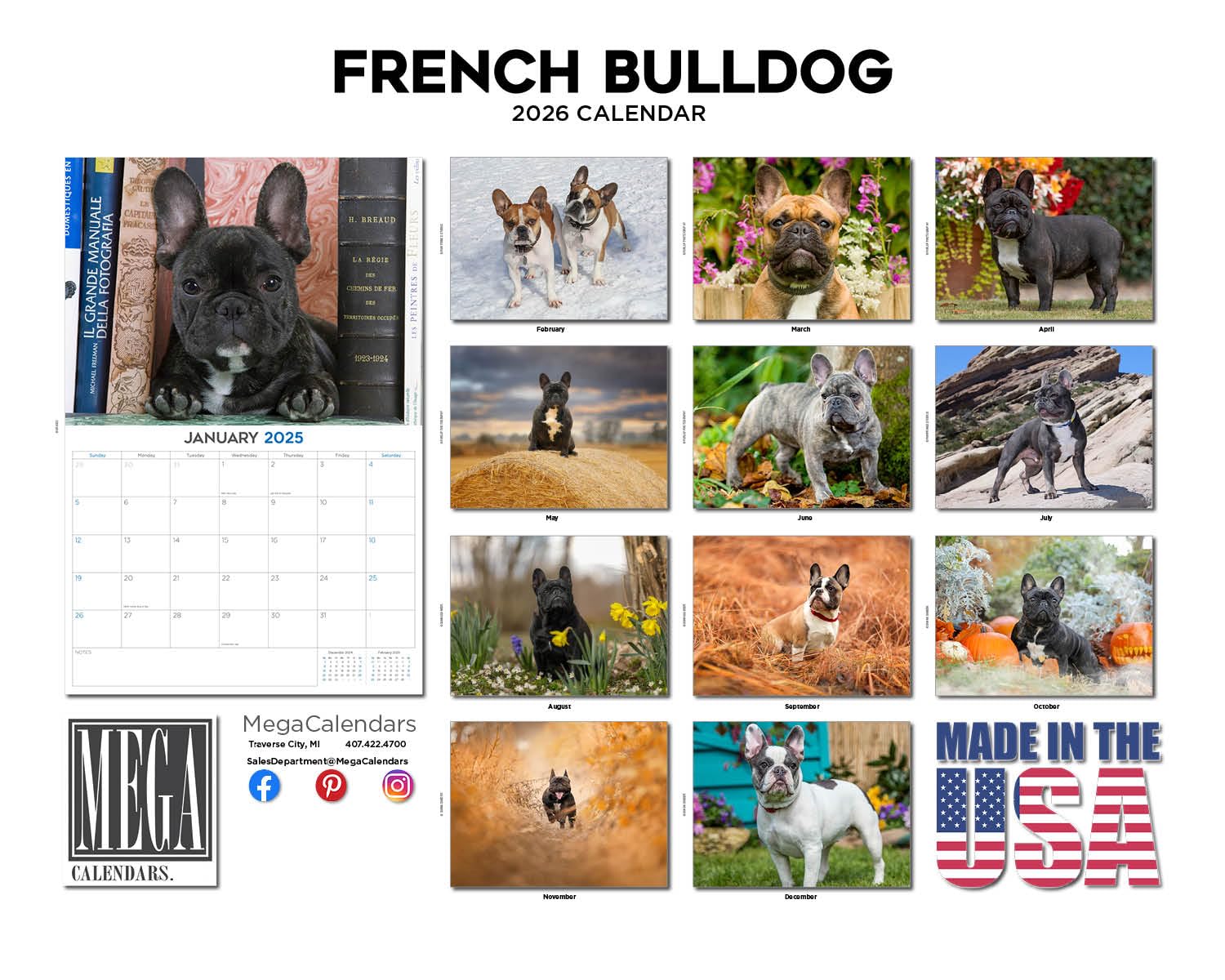 Calendario de bulldog francés 2024 2025 – Calendario mensual de pared de raza de perro – 12 x 18 pulgadas abierto – Papel grueso que no se corre – Regalo – Calendario académico para profesores,