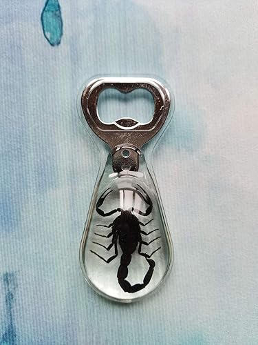 Miniatura 2 de Especímenes de insectos escorpión negro real, abridor de botellas de vino de cerveza, colección de taxidermia de animales, manualidades de abridor