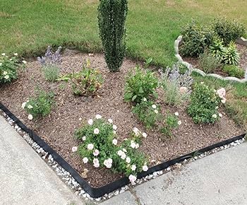 Amazon.com : Belinova 8 Pcs - 48'' L x 6'' H Steel Landscape