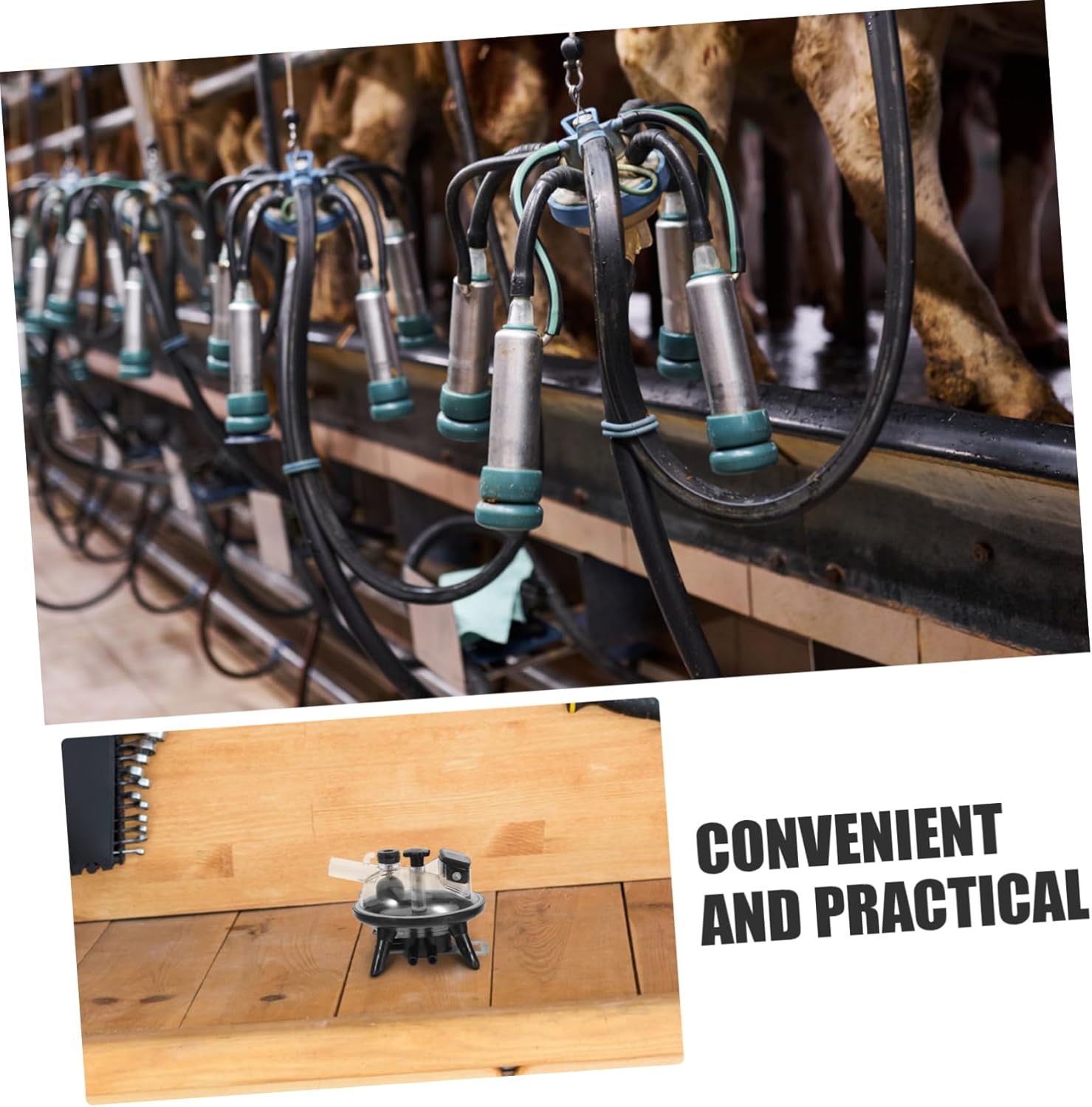 VICASKY 240cc Milking Machine Accessories Replacement Milk Collector Tool for Cow Milker Machines Sturdy Milking Cluster Smooth Vacuum Design for Dairy Farms