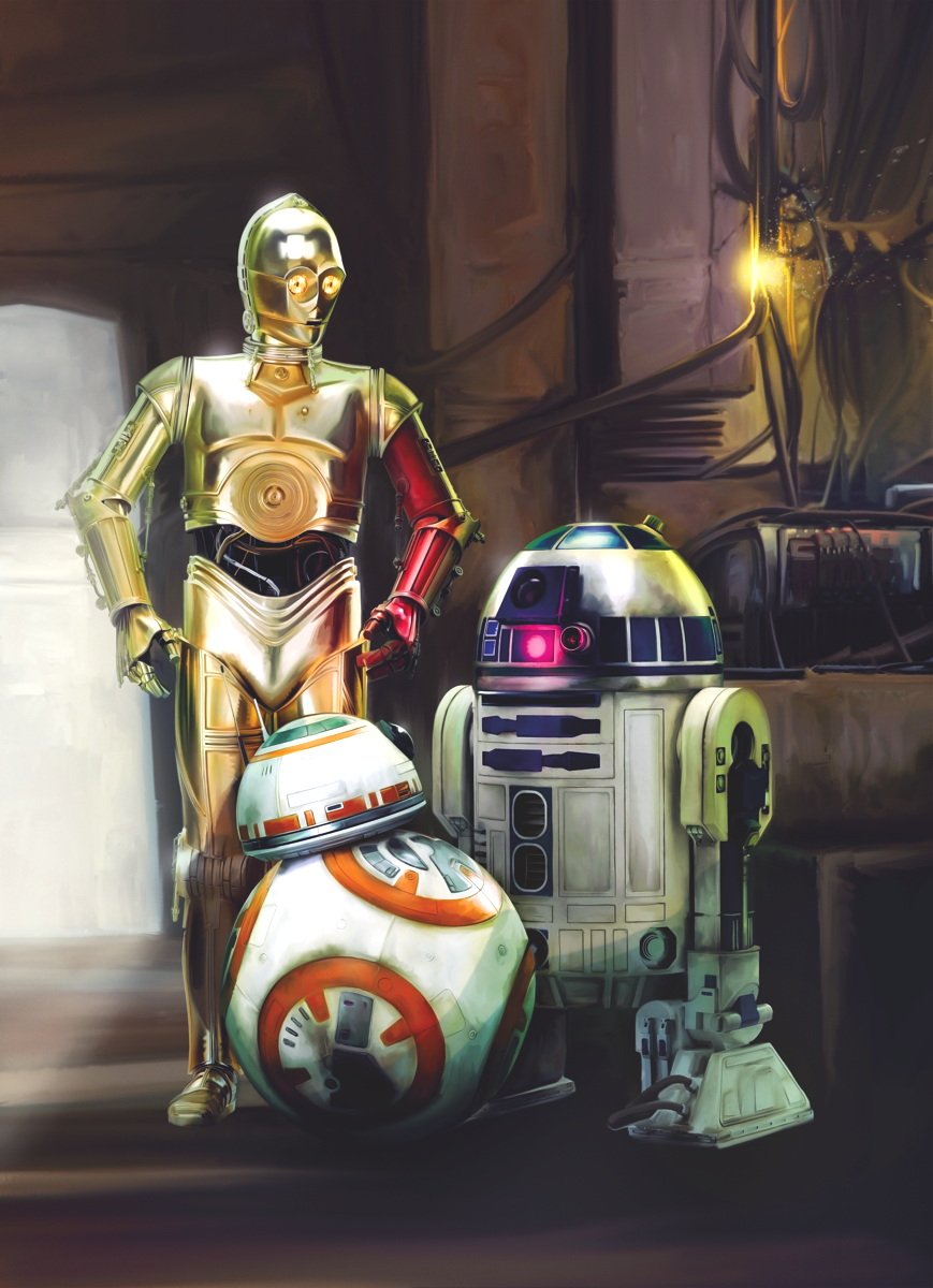 'Komar Photo Wallpaper Three in Star Wars Droids, 1 Piece, SD447