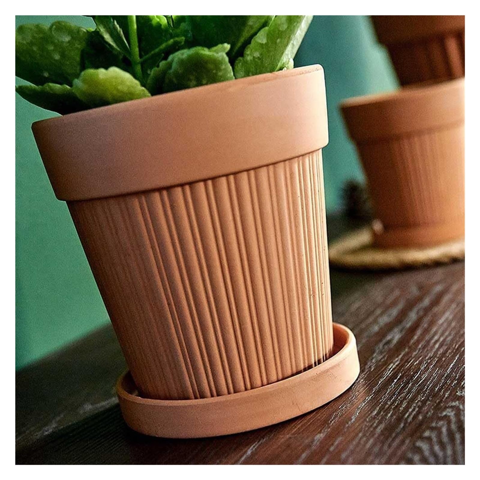 Doniczka w stylu vintage, 2 sztuki, doniczka z terakoty, doniczka na kwiaty z otworem drenażowym i spodkiem, dekoracja ogrodowa (11,5 cm)