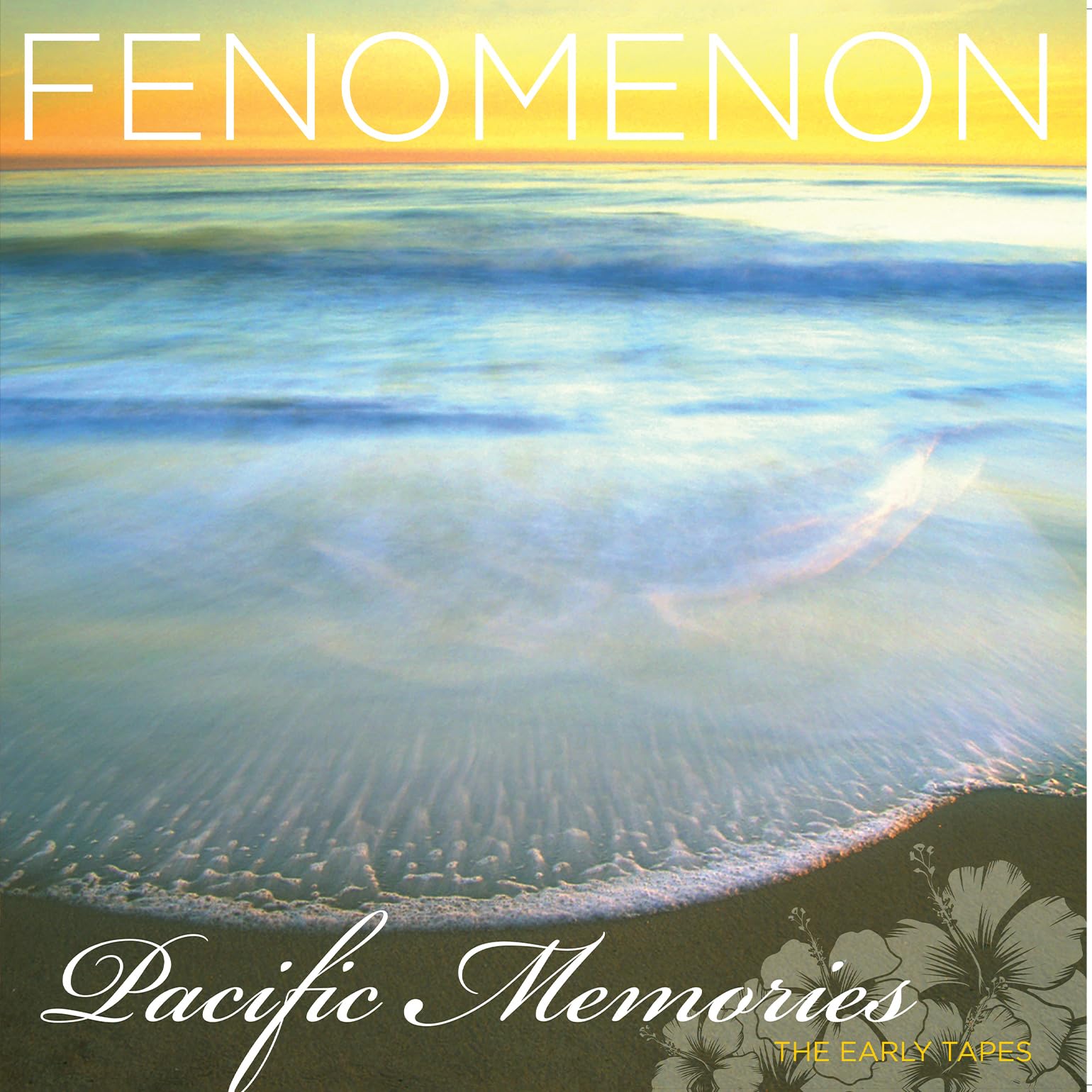 Pacific Memories: The Early Tapes [VINYL]