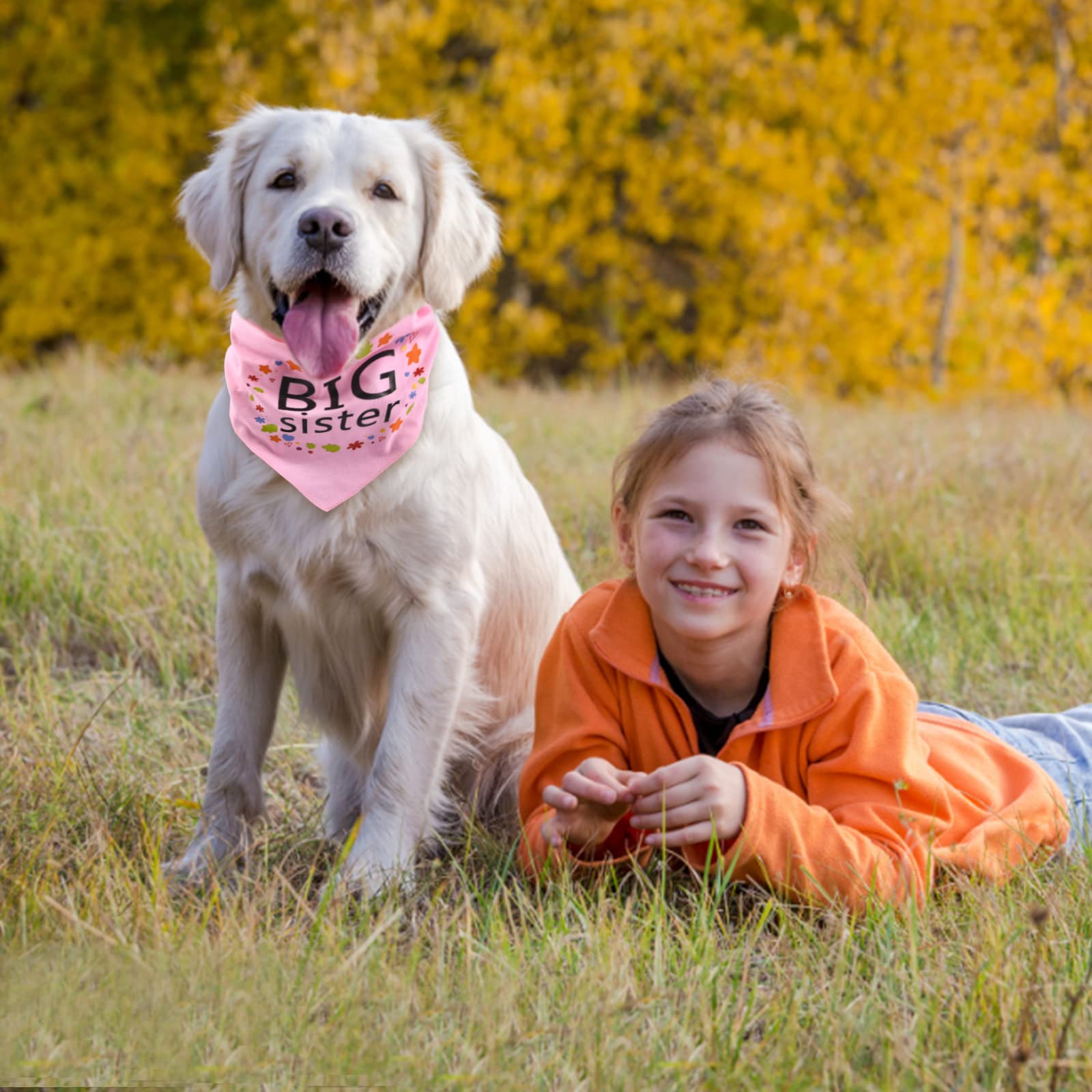 2 Bandane Per Cani "Promosso A Fratello/Sorella Maggiore" - Sciarpa Bianca Per Annunci Gravidanza - Foto 2