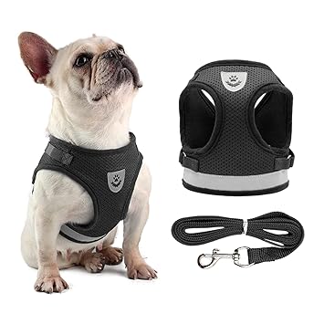 Qingyuan Dog Harn and Leash Set Reflective Adjustable Mesh Vest for Small Dogs Puppy Cats