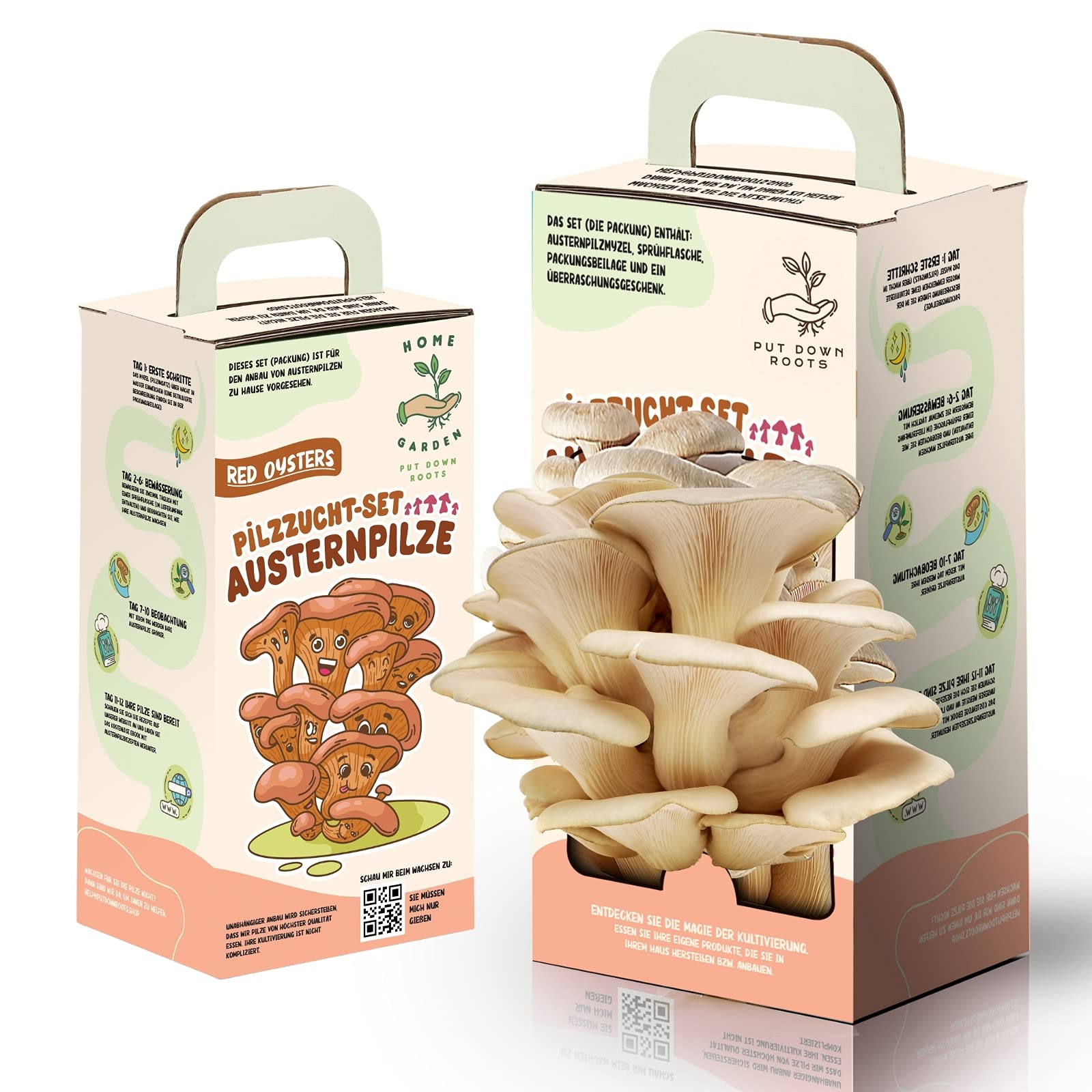 Buy Outdoor mushroom set, mushroom breeding gourmet oyster mushrooms