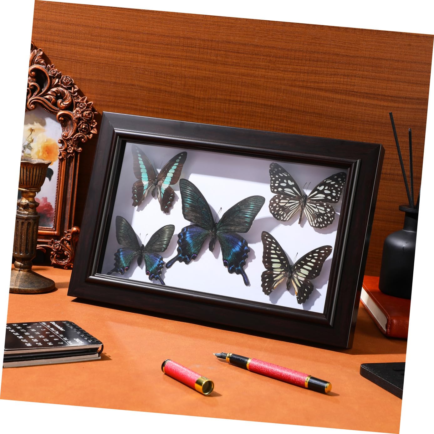 KOMBIUDA Marco de Madera para Mariposas con Espécimen Real, Decoración de Pared y Escritorio, Accesorio para Fotografía, Adecuado para Coleccionistas y Decoración de Sala de Estar