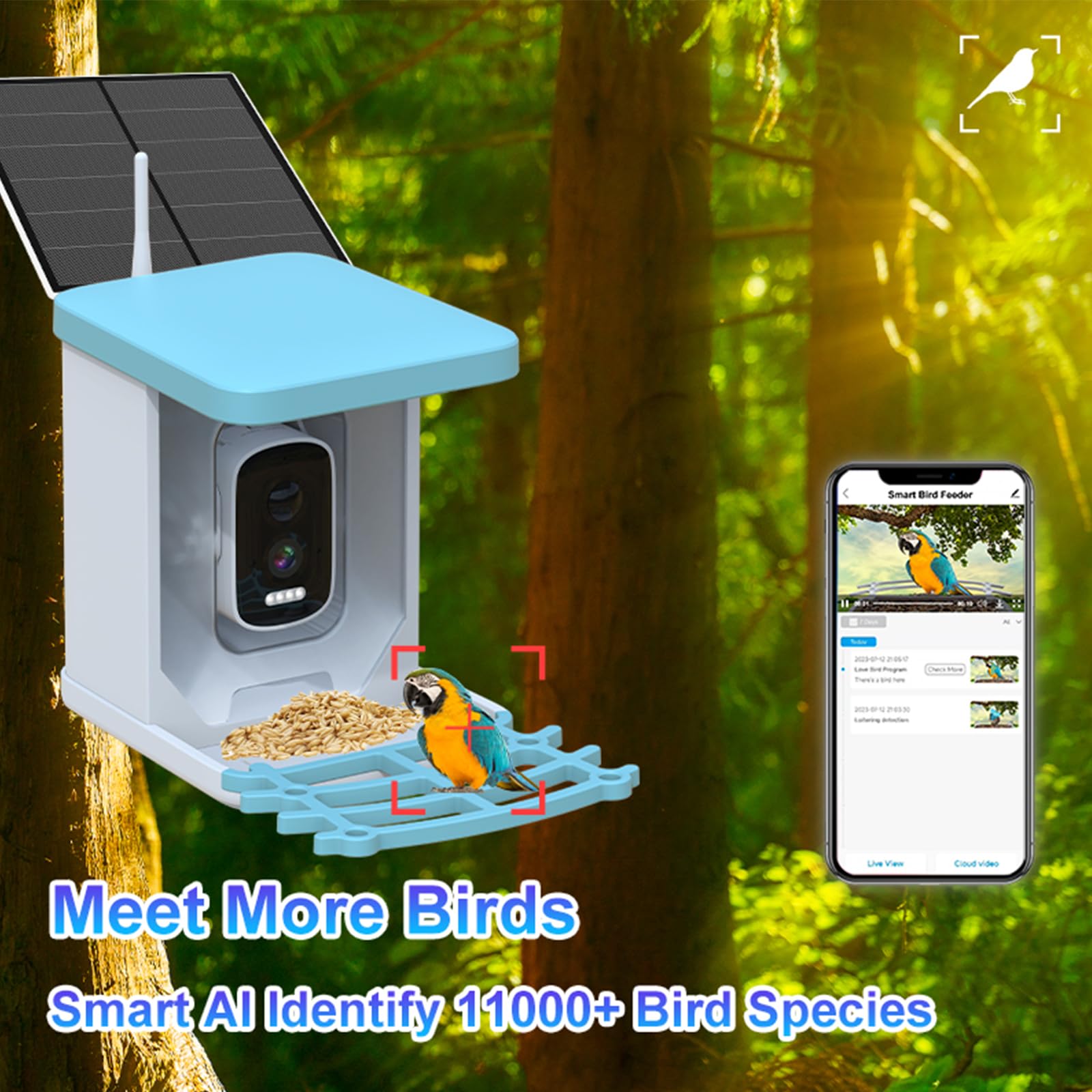 Nichoir avec Caméra, Maison d’Oiseaux avec Caméra, Mangeoire Vidéo WiFi | pour Oiseaux, Distributeur Intelligent avec Panneau Solaire & Reconnaissance IA des Oiseaux