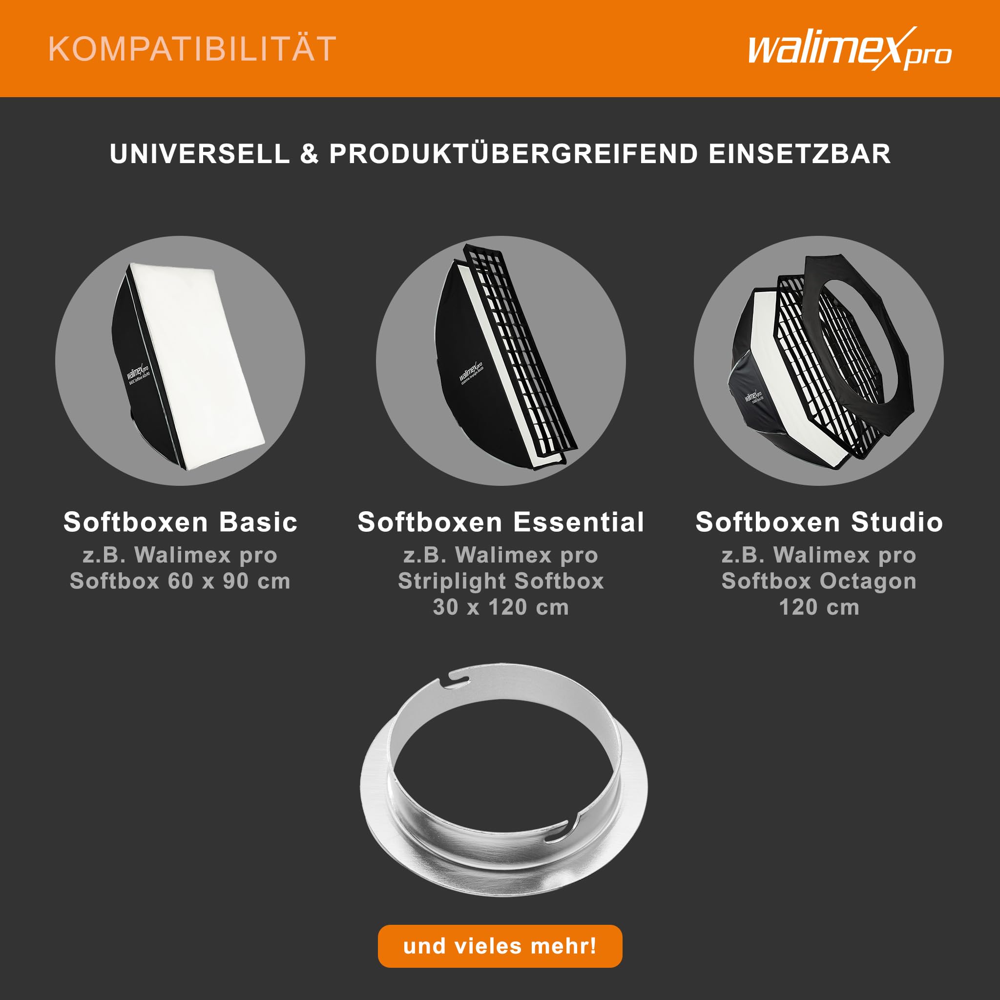 Walimex 12713 - Adaptador de softbox para Elinchrom (diámetro Exterior de 15.2 cm)