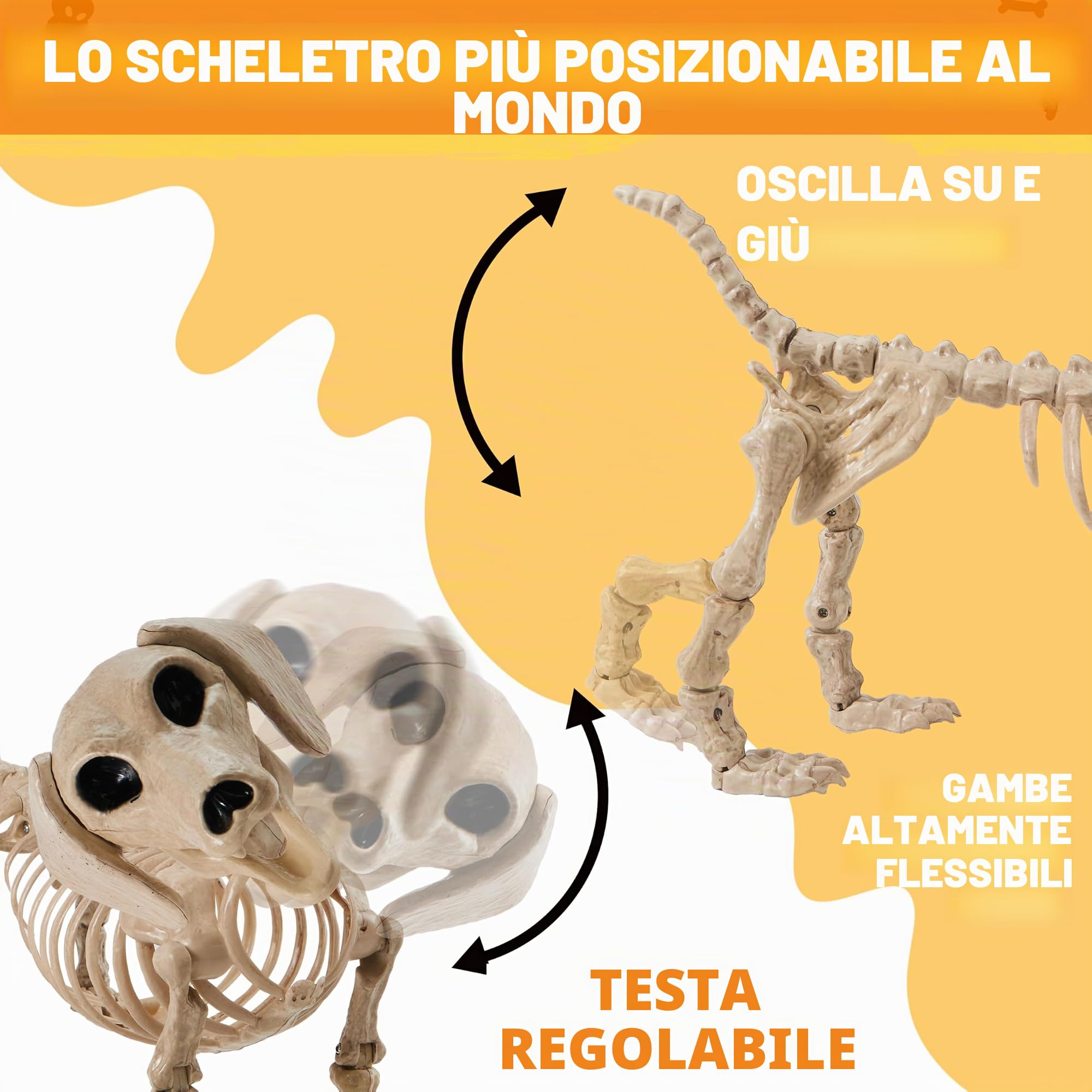 JOYIN Wiener - Scheletro di cane in plastica da 61 cm, scheletro snodabile, decorazioni per Halloween con giunti mobili, per scene di cimiteri, casa infestata, decorazione per feste, spettrale