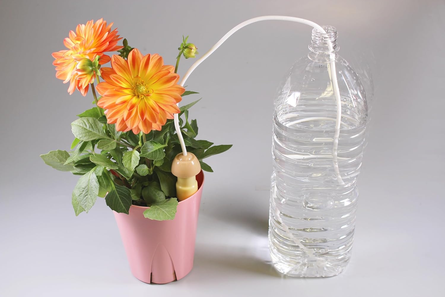 Maruhachisangyou 260089 Automatic Water Supply, Medium Size, Set of 4, Decorative Plants, for Travel, Convenient Watering While You're Away