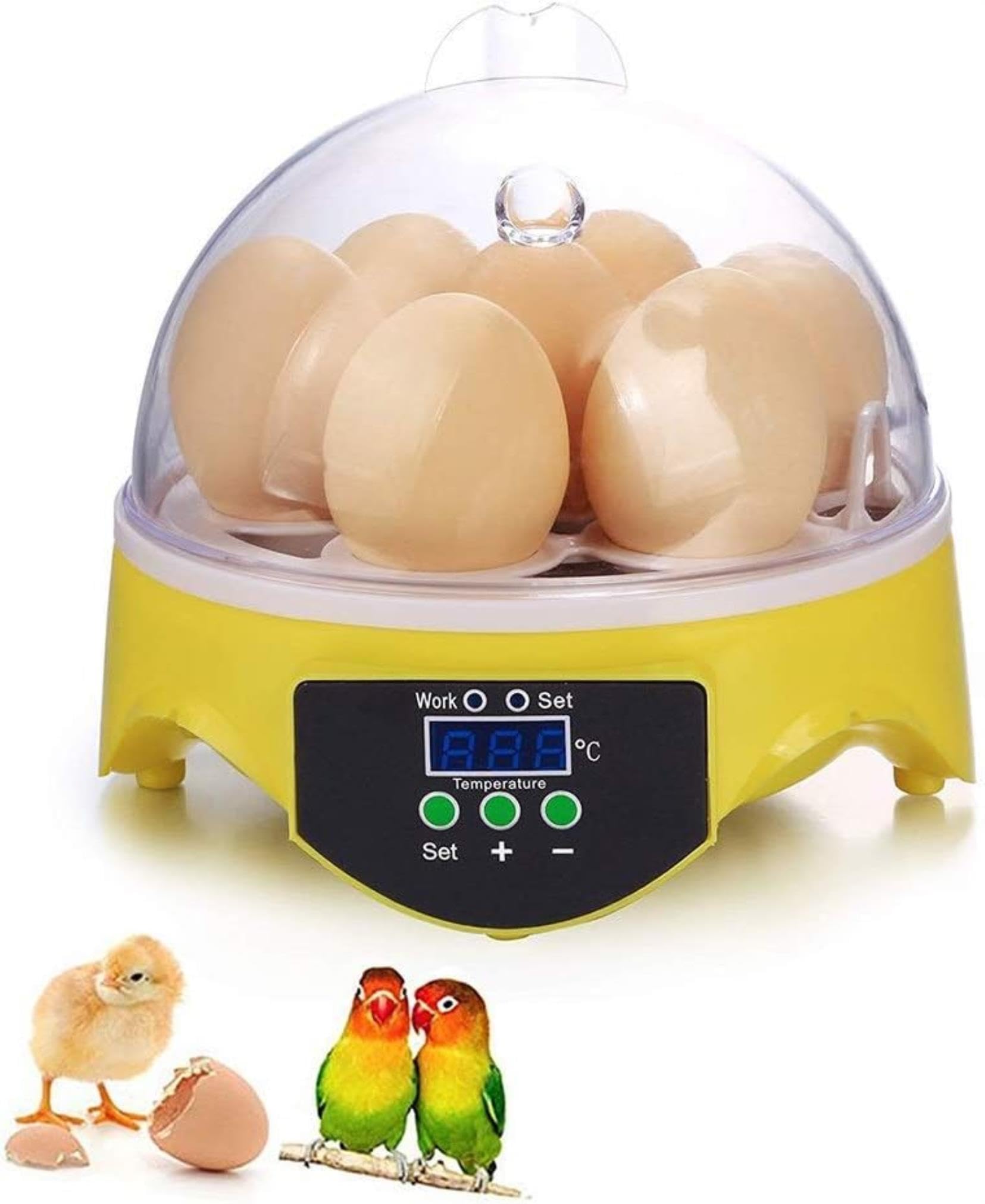 Incubateur d'oeufs XENITE fini les pertes thermiques couveuse automatique 7 oeufs