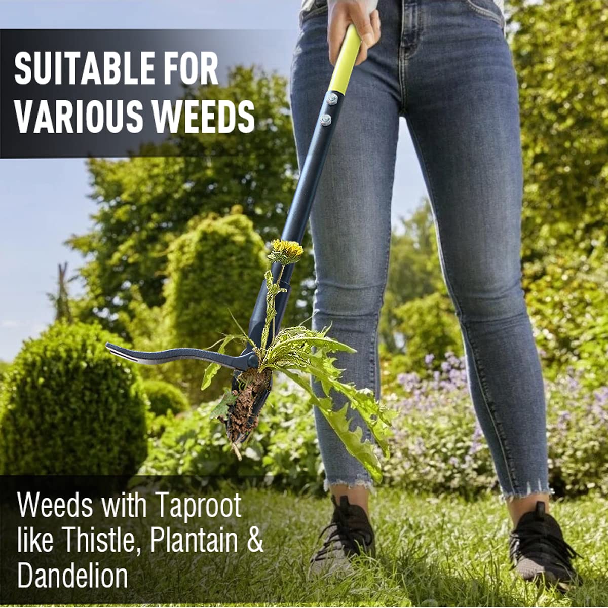 Jardineer Stand Up Weed Puller and Weeder Stick, Standing Weed Puller