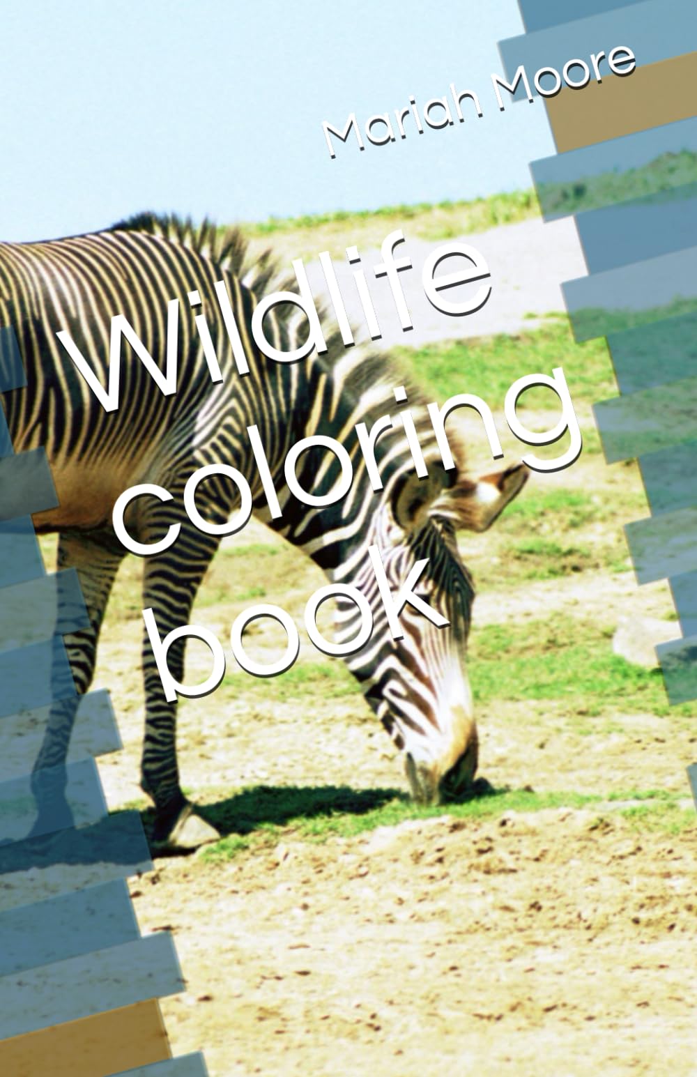 Wildlife coloring book