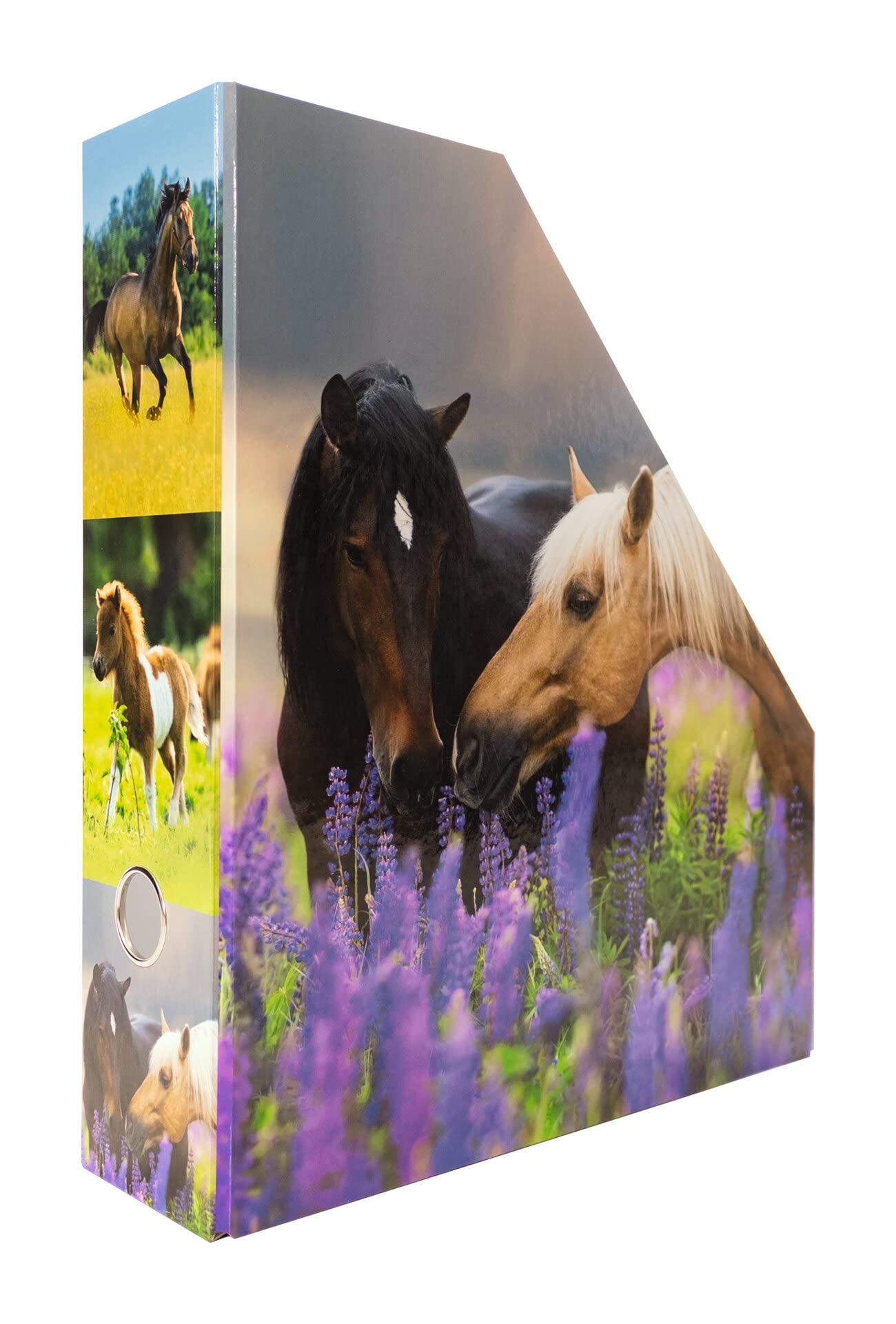 HERMA 19718 Magazine File A4 with Horses Motif, 7.5 cm Wide, Foldable, Sturdy Cardboard, Slim Magazine Holder for Girls and Boys, Standing File for Storing Documents, Documents, Folders