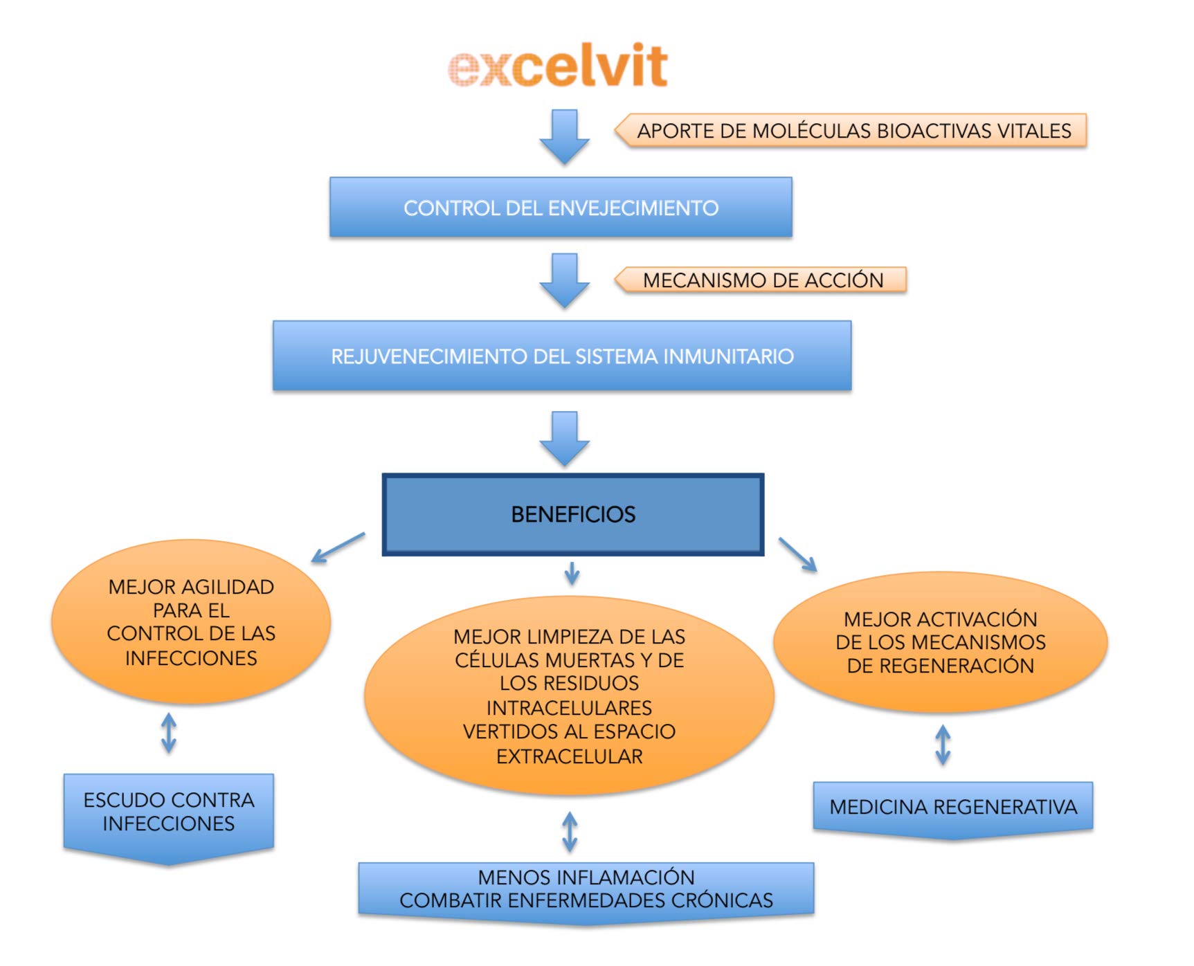 Excelvit® Pure Sabor Limón Complemento Alimenticio para Adultos - Ideal para Enjevecimiento Saludable - con 1200 Moléculas de Alto Valor Biológico - Fuente de Proteínas y Vitamina B - 150G