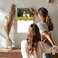 Vista 754 de Razas de Perros 2017