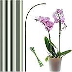 20Pcs Plant Stakes,Plant Sticks,Garden Green Bendable Single Stem Plant Support Stakes for Indoor and Outdoor Plants,Potted Plants,Flowers Orchid Peony Rose-18 Inches