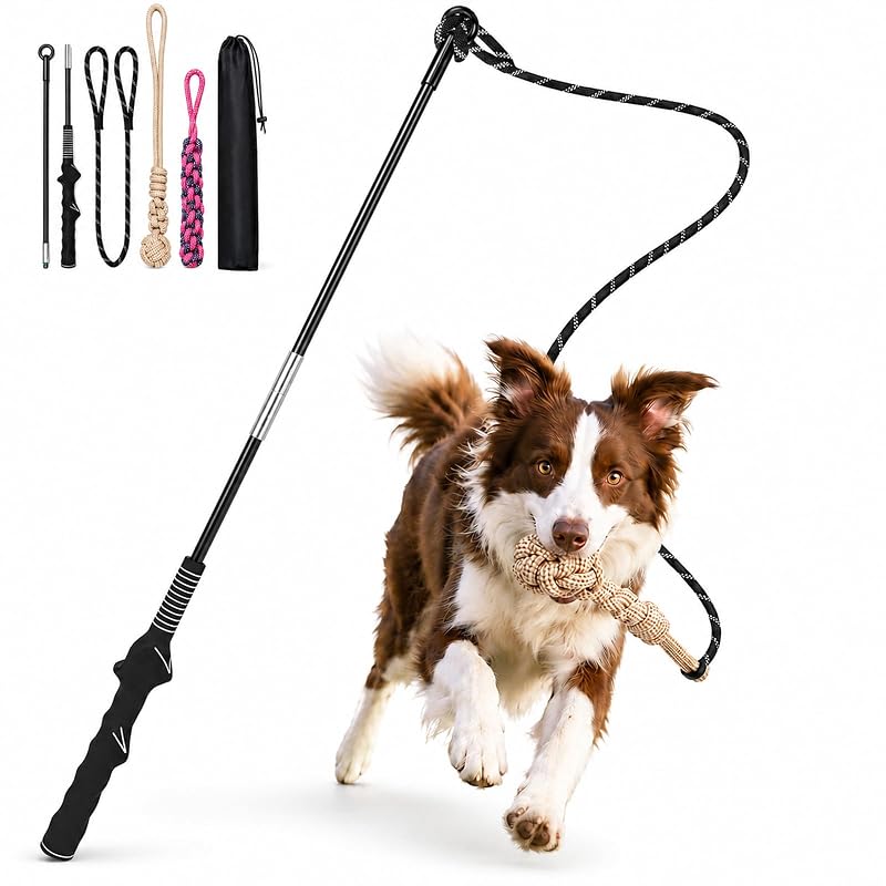 Brinquedo Interativo para Cães com Vara de Perseguição e Cordas DEPURE PF, Tamanho Médio