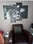 Tableau Loup Gris Sur Toile - Déco Murale 30x20 Cm Avec Cadre Bois - Idée Cadeau Déco Moderne