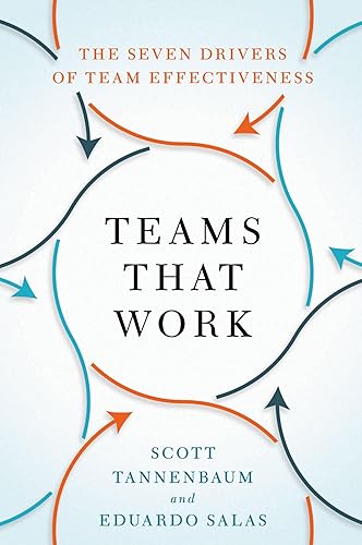Teams That Work The Seven Drivers of Team Effectiveness
