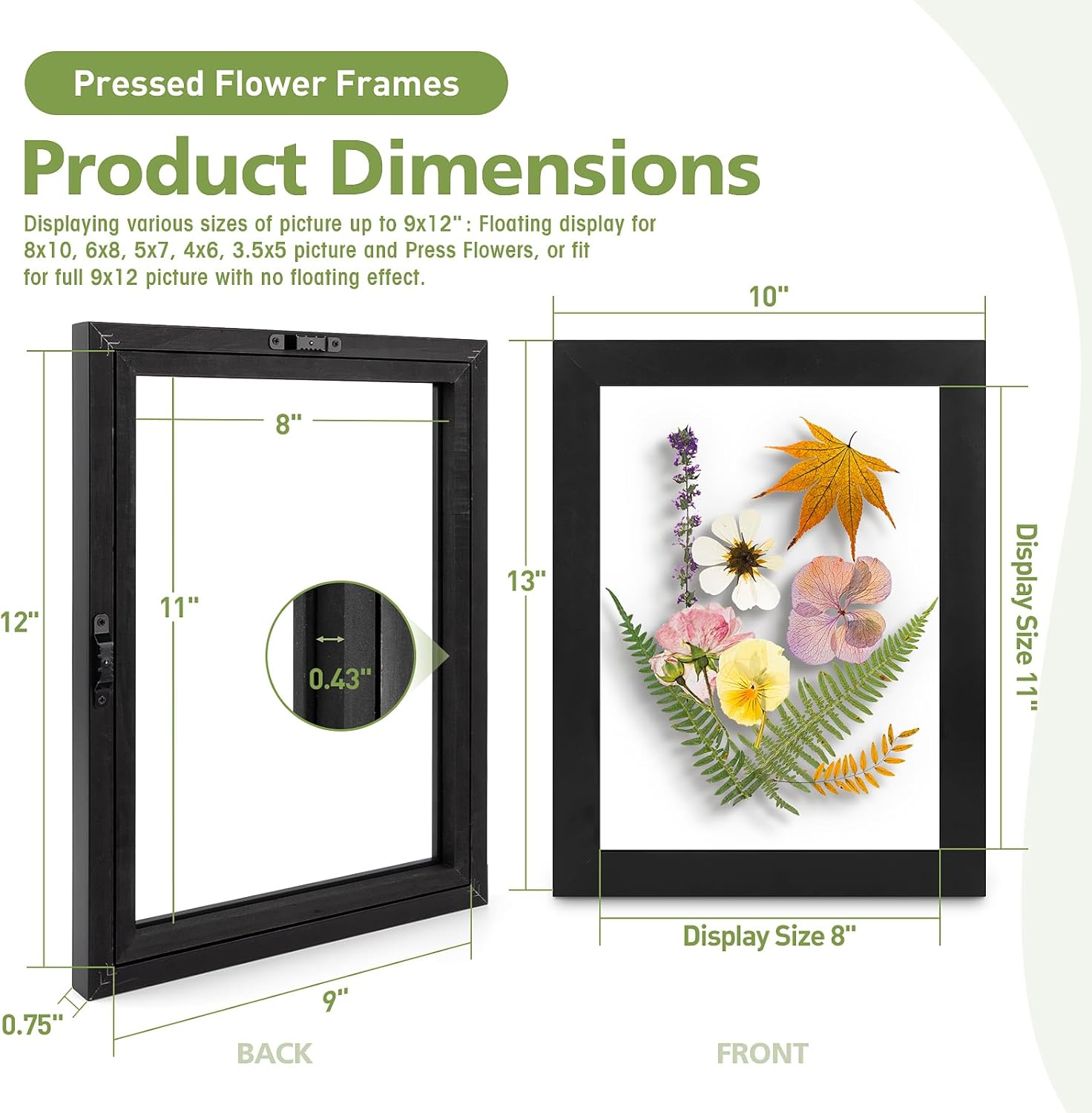 9x12 Pressed Flower Frames - Black Floating Frame - Real Glass Front - Display 6x8 Picture with Floating or 9x12 Picture without Floating - Solid Wood Frame for Wall Mounting - Black - 2 Pack