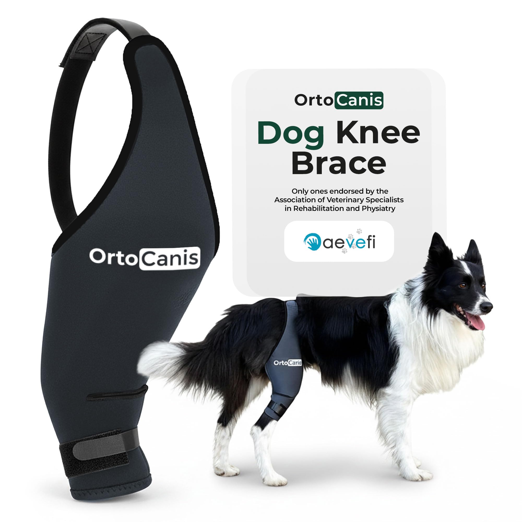 Amazon.com : Ortocanis Dog Knee Brace for Hind Leg Support