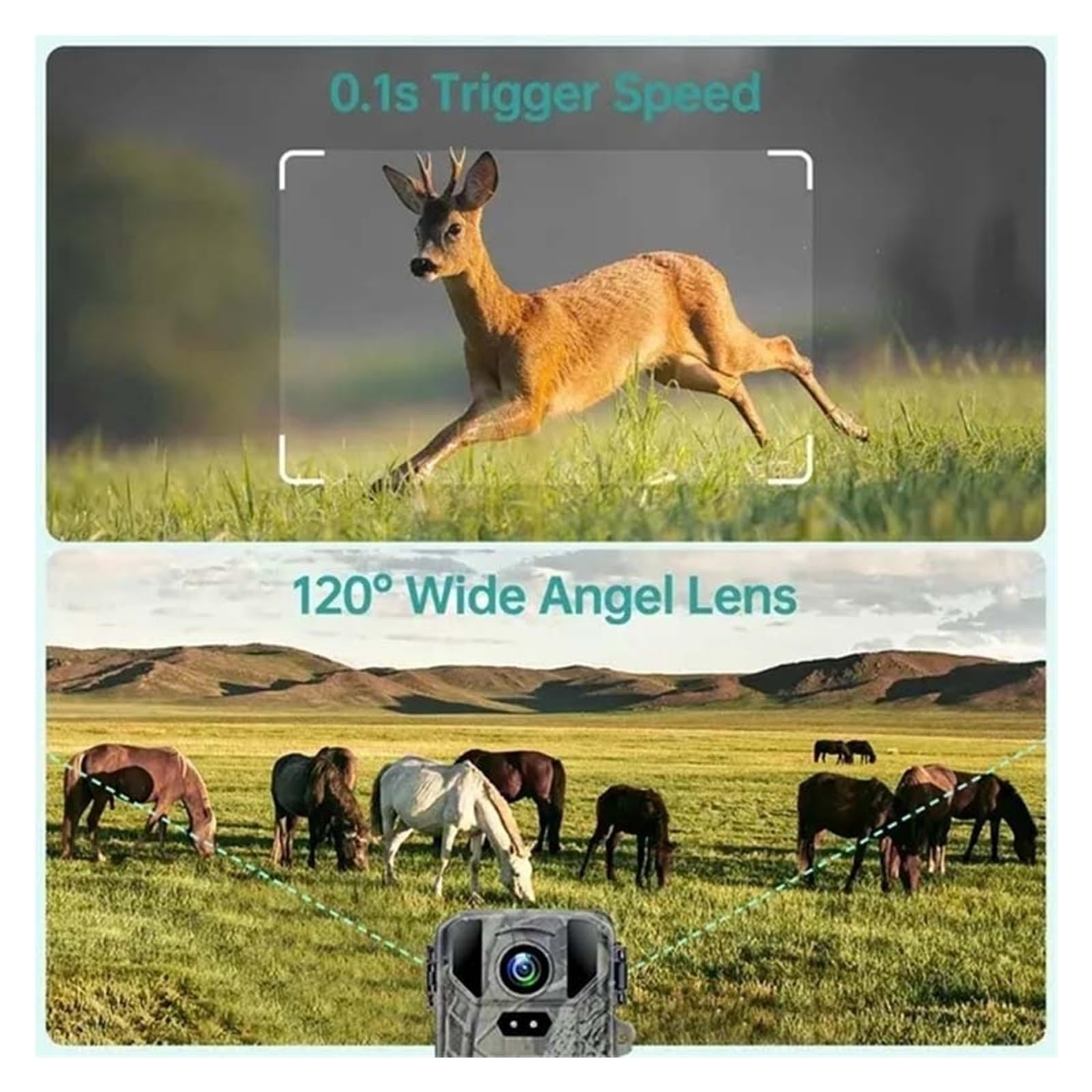 Kamera Obserwacji Dzikiej Przyrody 4K MiNi800 Mini Kamera Myśliwska Na Dziką Przyrodę 50MP Keep Way Obserwacyjna Wodoodporna HD Night Vision Fotopułapka Podczerwień Z Samochodem 256GB(With 32GB card)