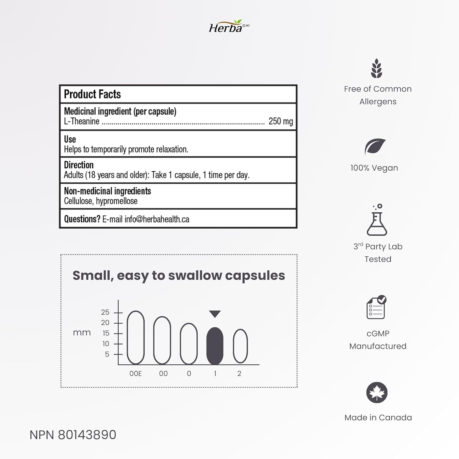 NEW L-Theanine Supplement 250mg – 240 Capsules | >99% Ultra Pure | Magnesium Stearate Free | Promotes Relaxation Without Drowsiness | 8 Month Supply | Made in Canada | Herba - Image 8