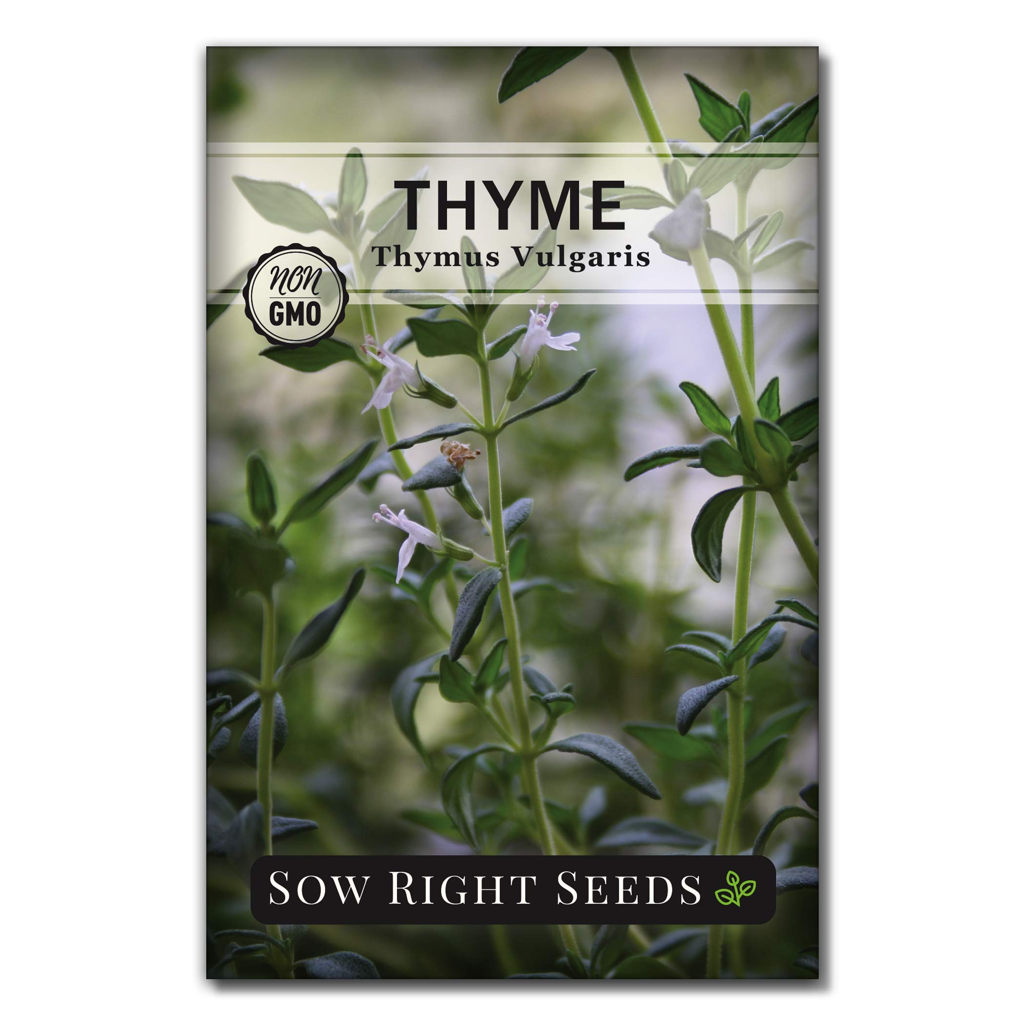 Sow Right Seeds - Thyme Seed for Planting - Non-GMO Heirloom Packet with Instructions for Easy Planting Your Kitchen Herb Garden - Indoor or Outdoor - Great for Hydroponics Growing - Culinary Herb (1)