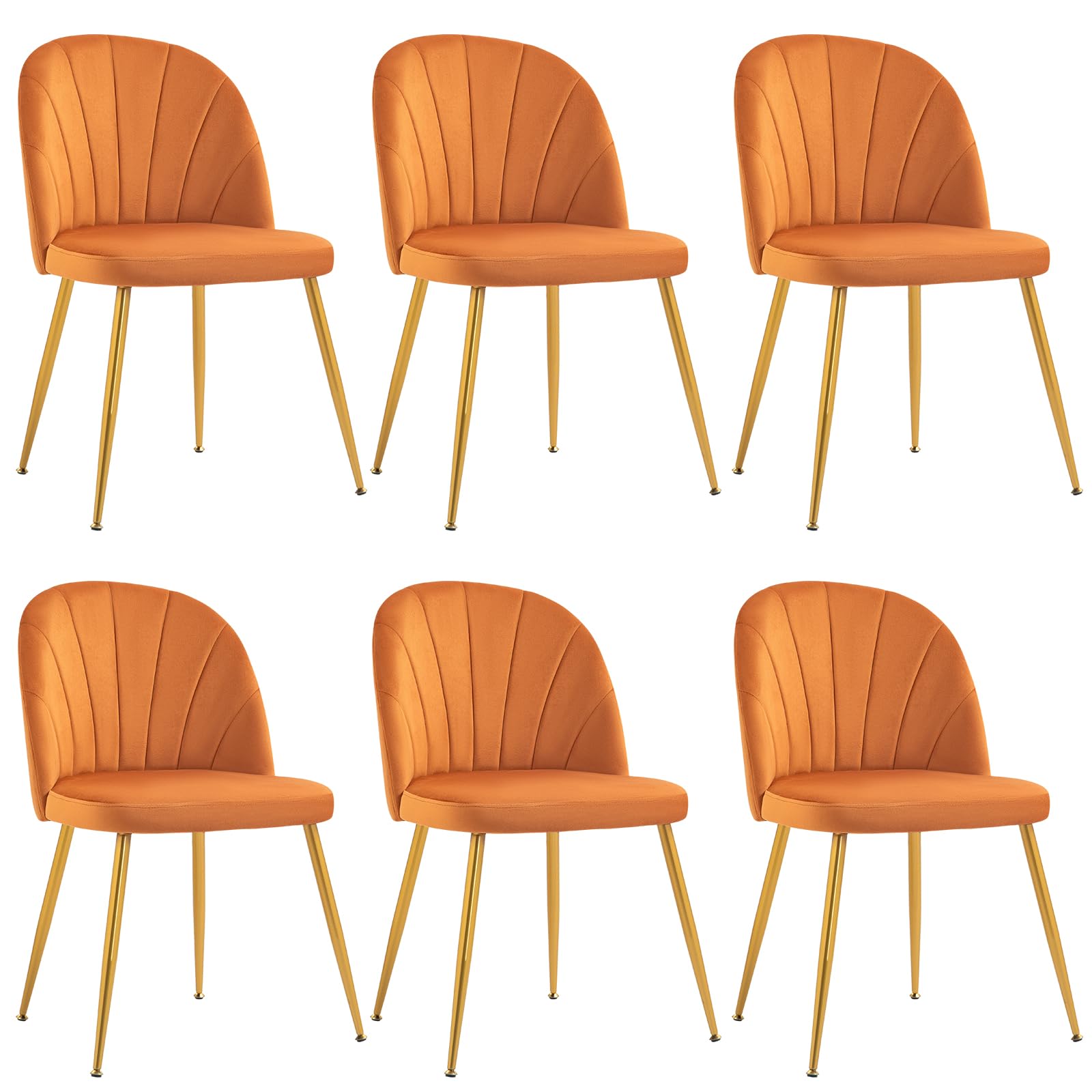 Newnno Velvet Dining Chairs Set of 6, Upholstered Mid Century Modern Dining Chairs, Armless Accent Chair with Metal Gold Legs for Living Room, Kitchen