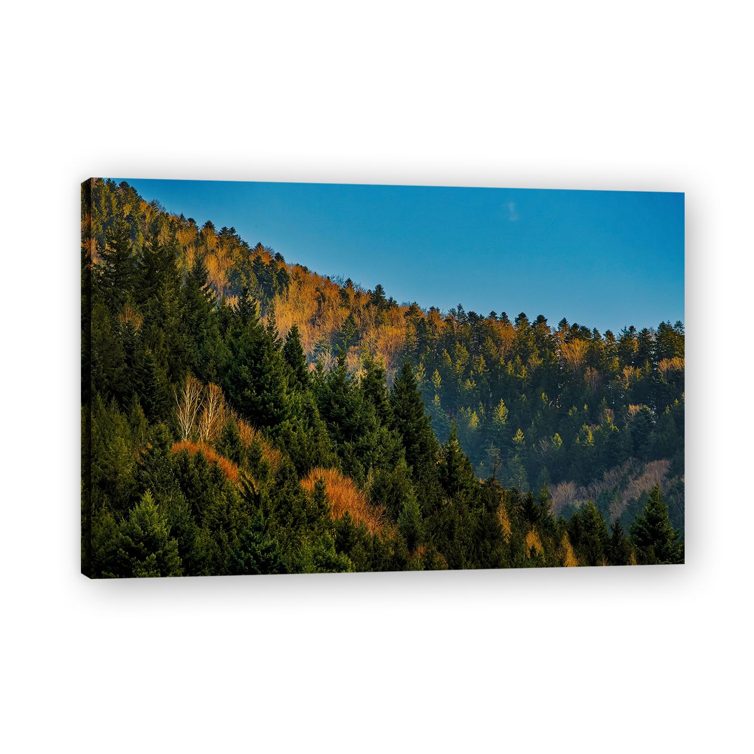 VHdfgTY Amidst The Mountains And ForestsNature Landscape Wall Art Canvas Mountain Scenery Print Home Decoration 40x60cm Framed