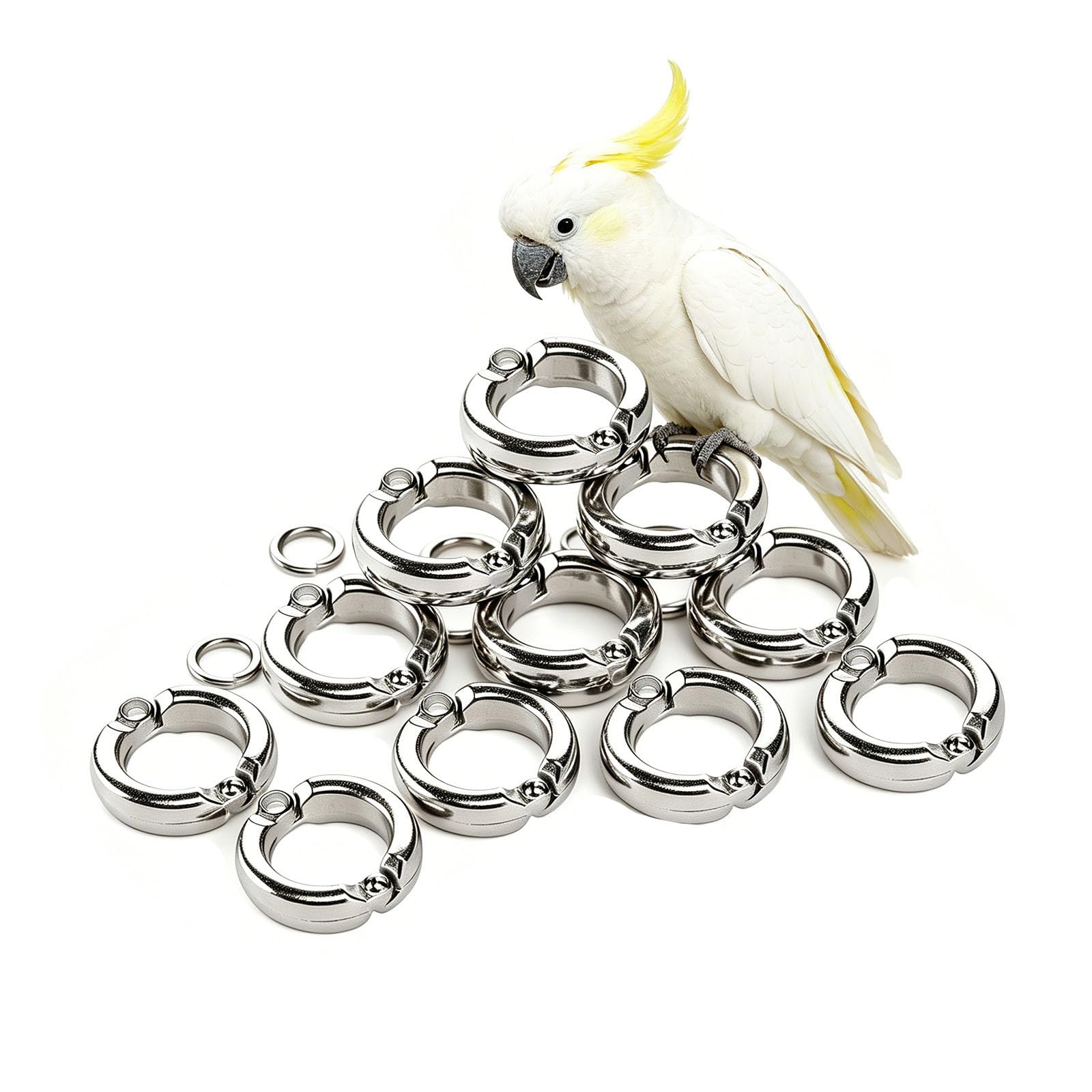 pájaro con las piernas cerradas, Patas de pájaro for entrenamiento, Clips metálicos for patas loro, mosca for exteriores, 4-15mm, 10-100 Uds(100 pieces,15mm)