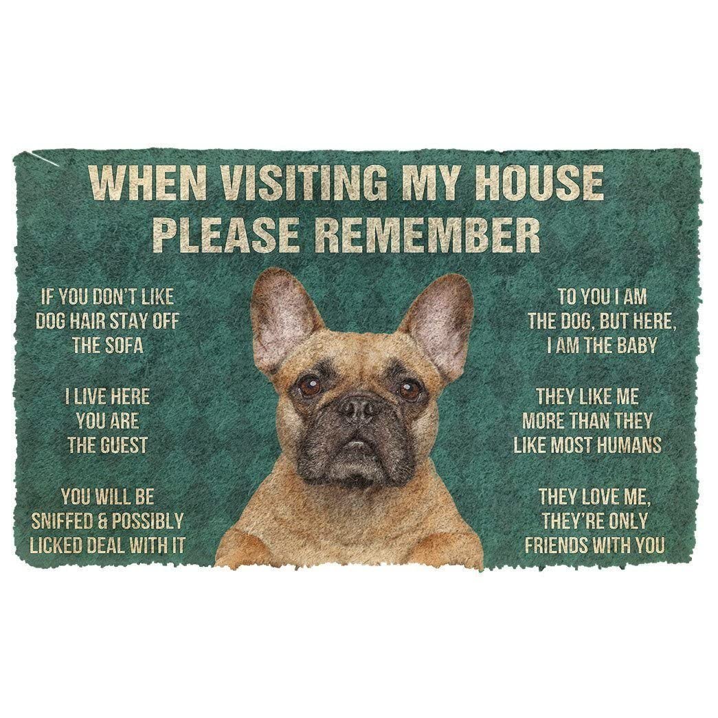 Door Mats Indoor Amazing French Bulldog Dog When Visiting My House Doormat Home Decor House Warming Gifts New Home Decor