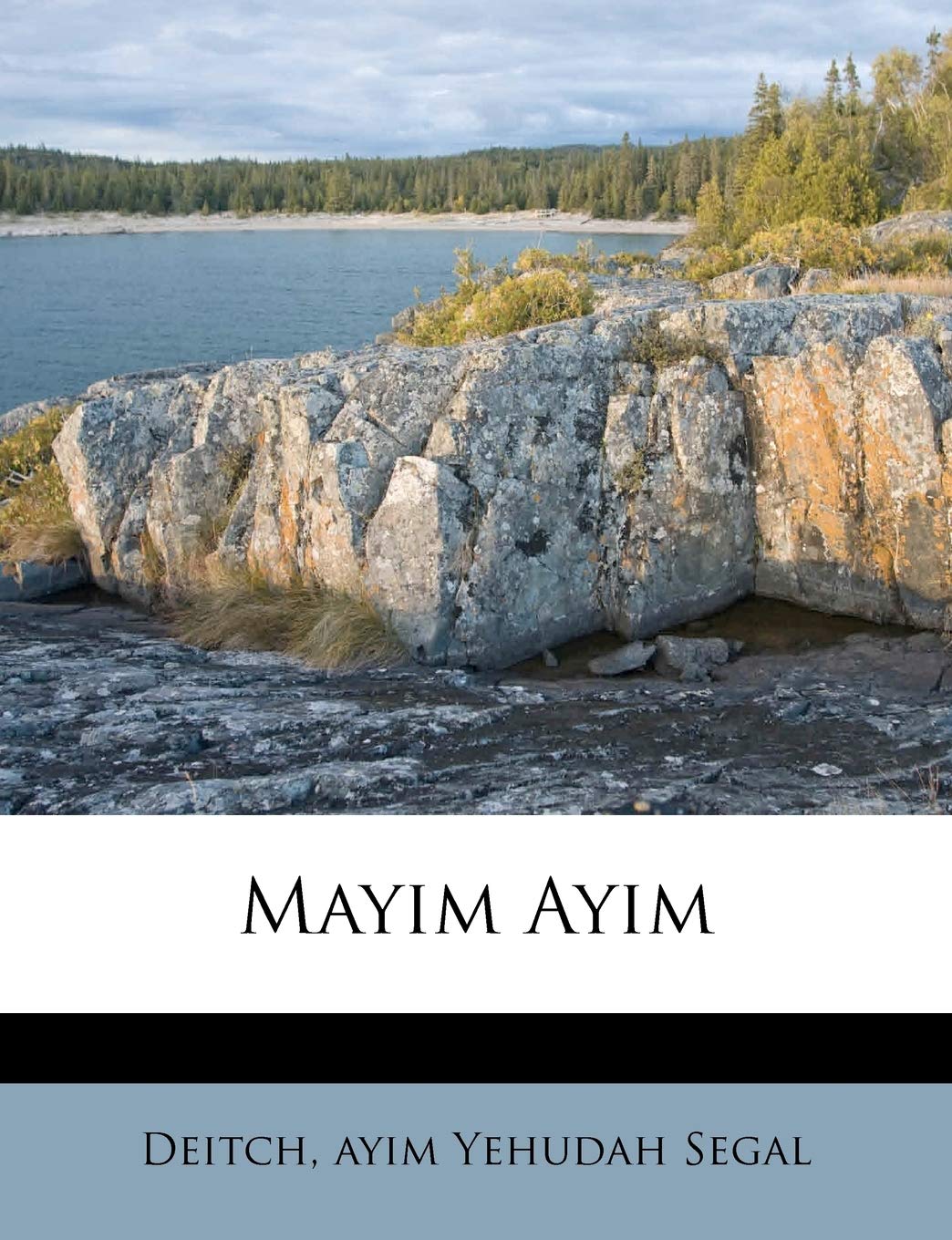 Mayim Ayim (Hebrew Edition)