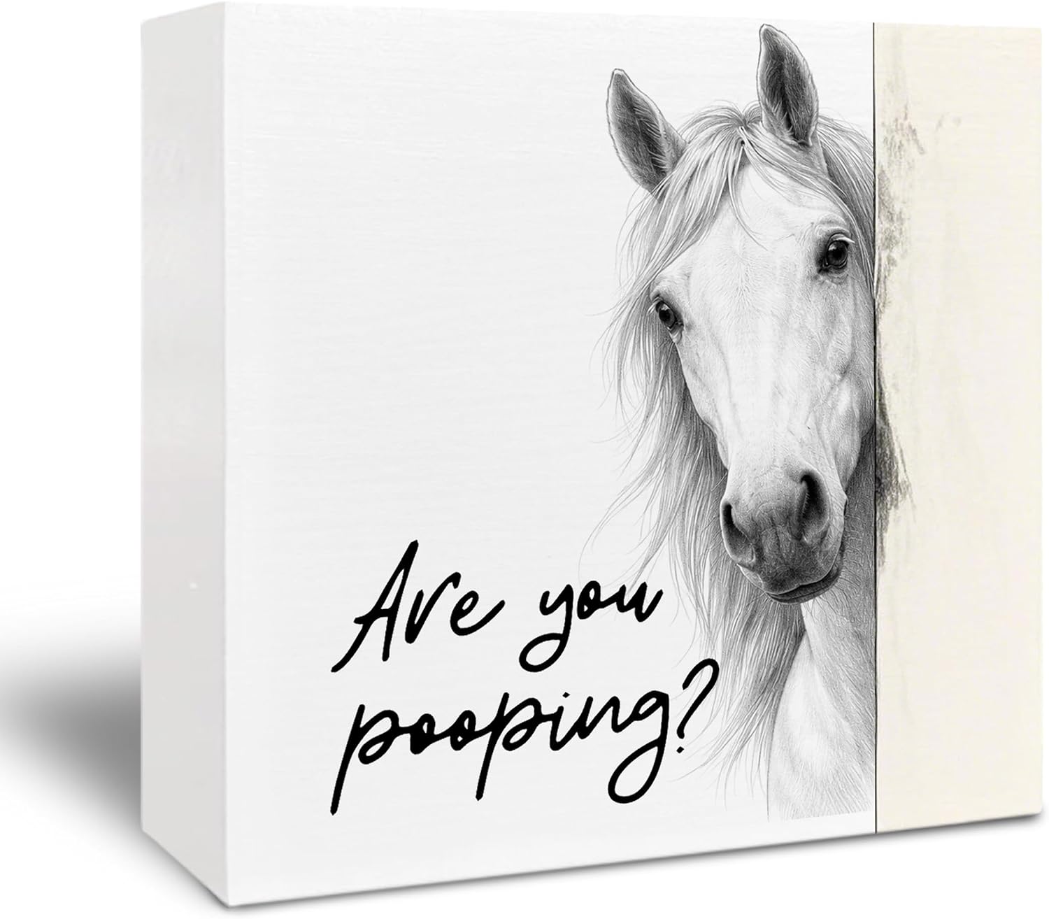 Funny Bathroom Wooden Sign - Horse Western Decorations, Horse Lovers Gifts Decor, Are You Pooping Funny Bathroom Wooden Box Sign for Home Tabletop Shelf Decor 5x5 Inch
