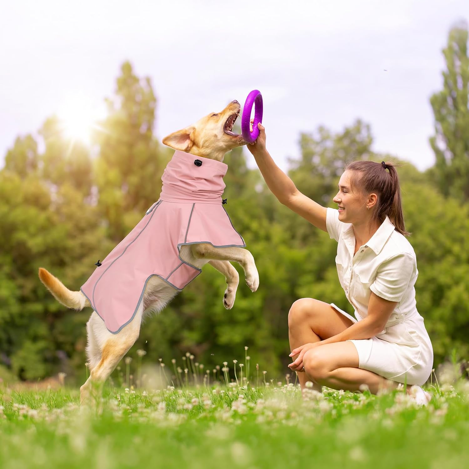 Reflective Dog Raincoat, Windproof & Waterproof Dog Rain Jacket, Adjustable Hooded Pet Poncho with Leash Hole for Small, Medium, Large Dogs(S-2XL) (Pink, Medium)