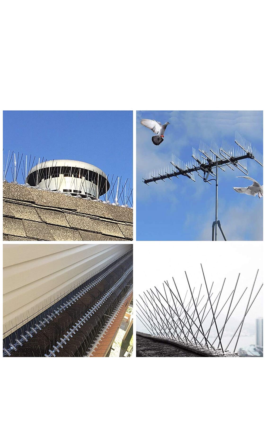 IN-OV - 6 Metres - KIT de Dissuasion pour Oiseaux, Pics Anti - Pigeons en Acier Inoxydable pour Balcon, Anti - Corbeaux, Respectueux des Animaux.