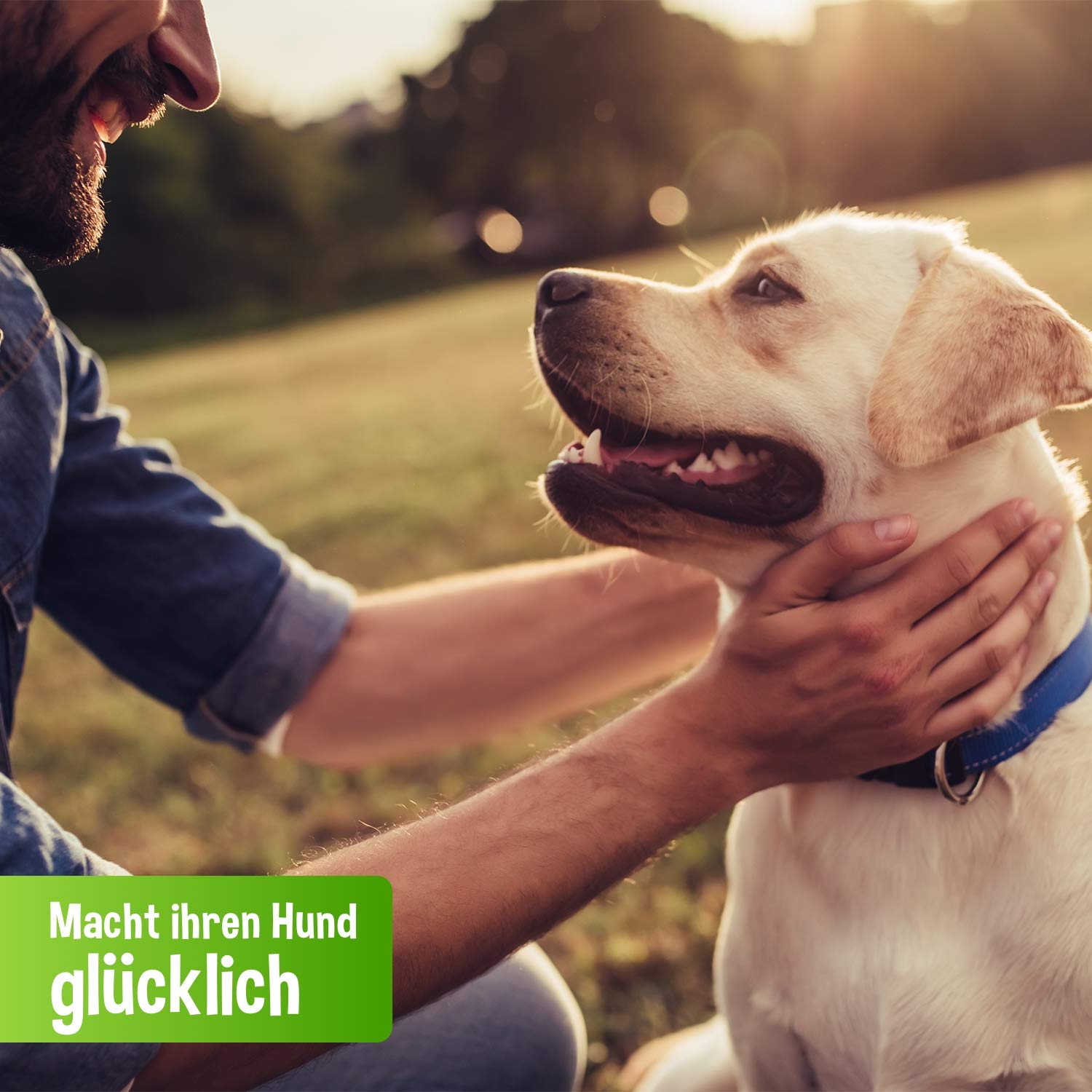 Schecker Nassfutter getreidefrei - 100% Pute PUR - 24 x 820g - hypoallergen - glutenfrei - Hundefutter - sensitiv